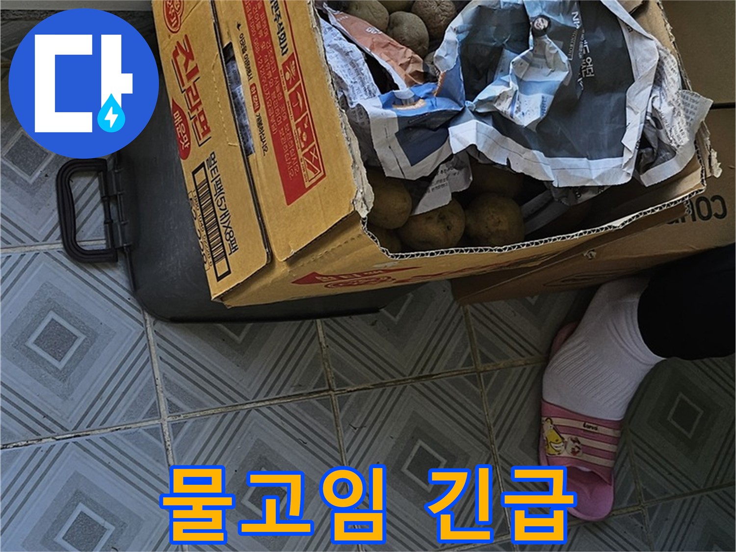 양천구 신월동 엘리시안 누수 현장 - 감자 박스 주변에 물이 고여 있다면 긴급하게 전문가를 불러야 합니다 - 즉시 문의하세요.