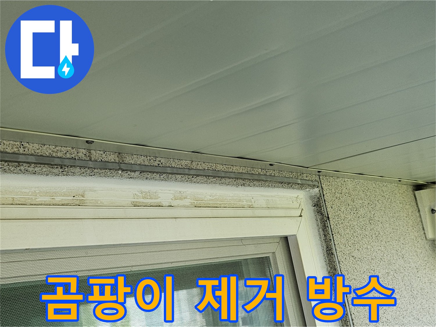 양천구 신월동에서 곰팡이를 제거하고 방수 작업을 진행하여 누수를 해결하는 과정입니다.