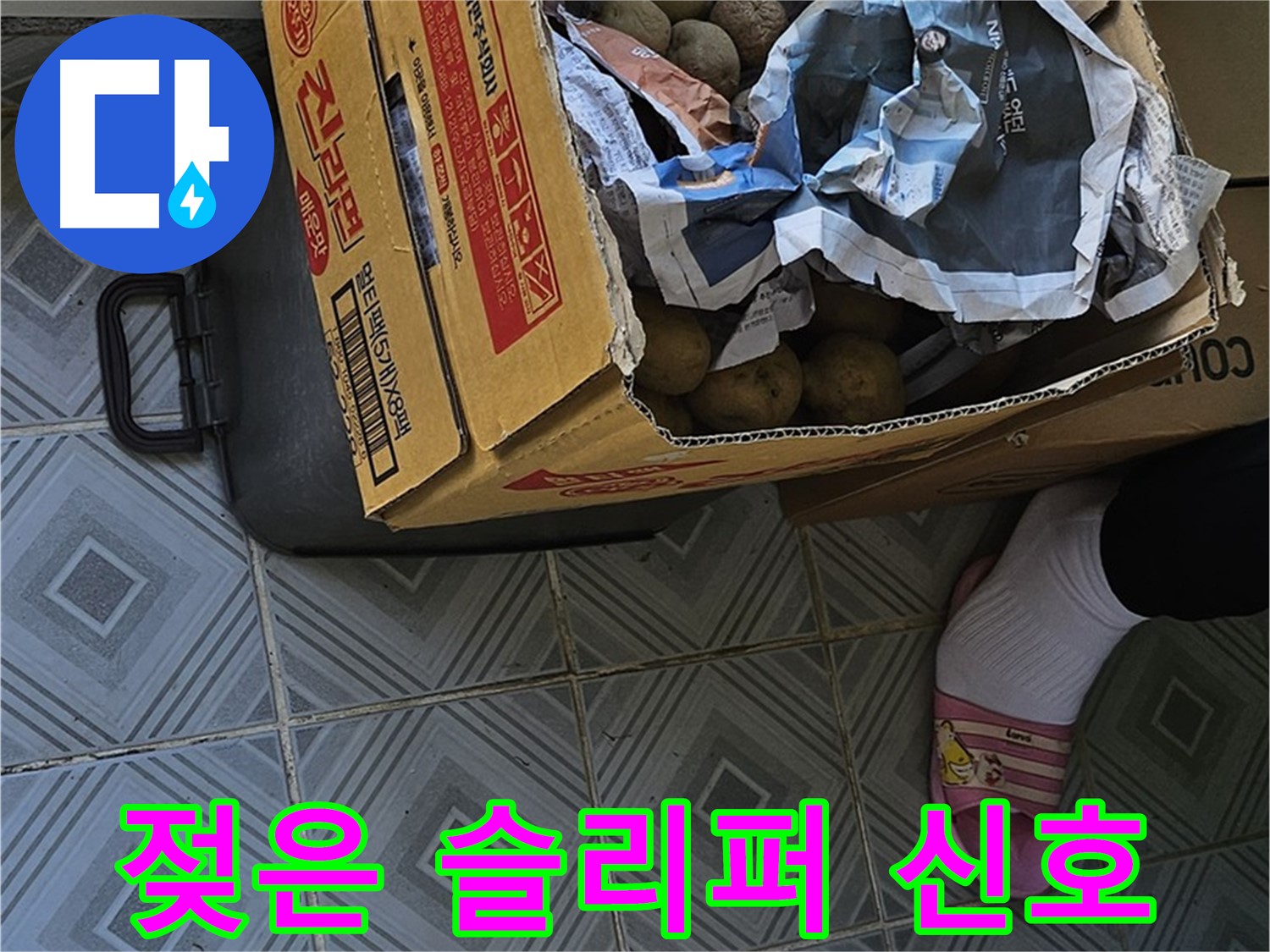 양천구 오목로 엘리시안 누수 현장 - 감자 박스 옆 젖은 슬리퍼는 누수를 알리는 신호일 수 있습니다 - 주변을 꼼꼼히 살펴보세요.