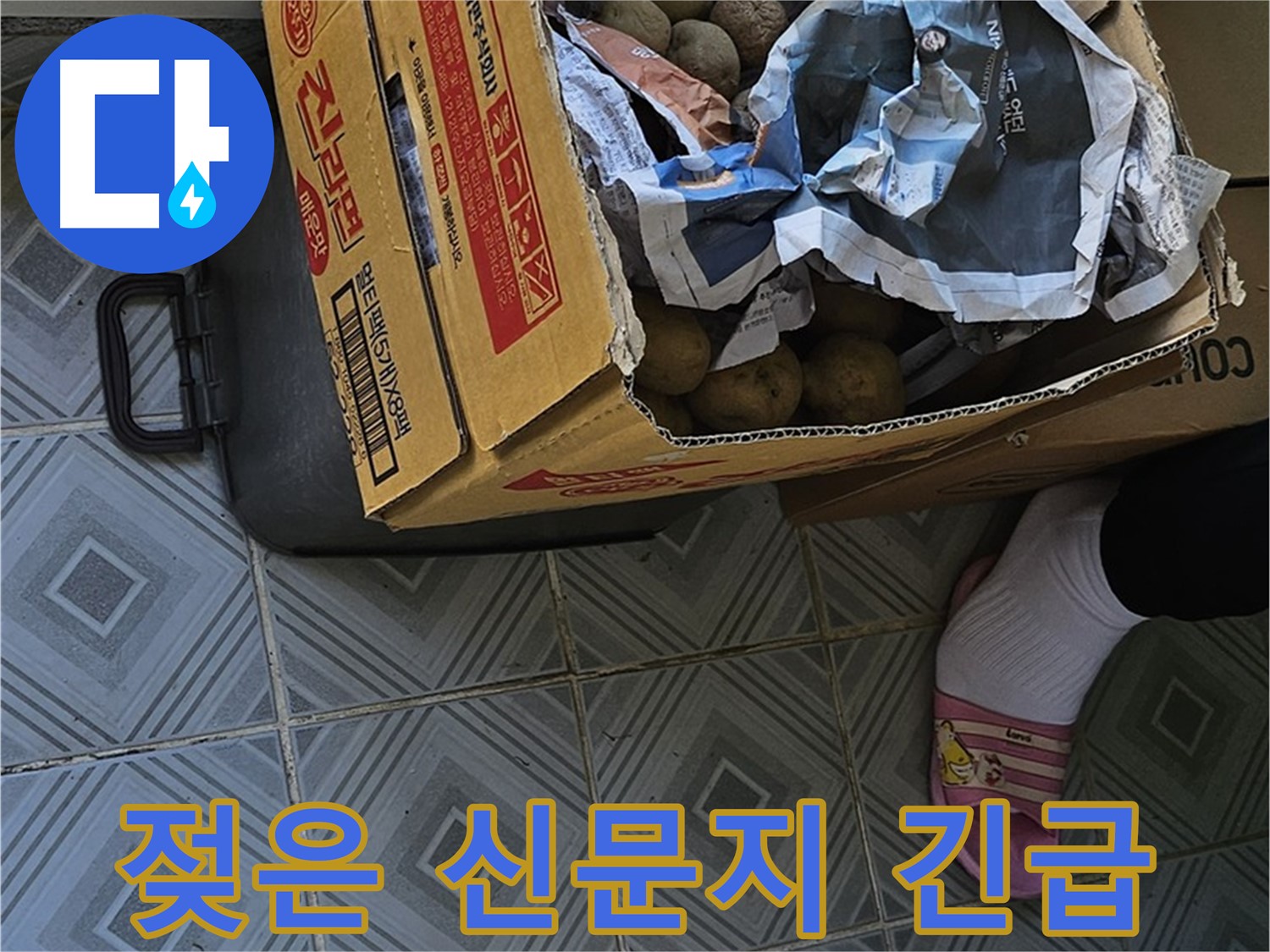 양천구 오목로 엘리시안 누수 현장 - 감자 박스 위 젖은 신문지는 긴급 상황임을 알리는 신호입니다 - 즉시 전문가의 도움이 필요합니다.