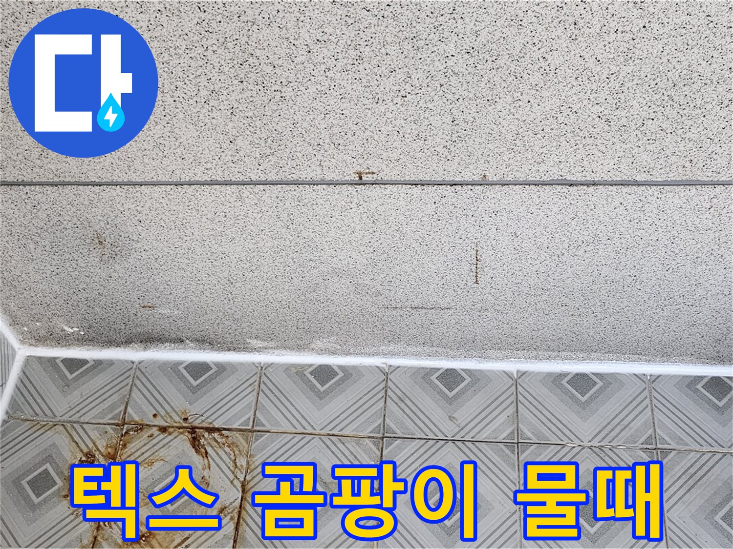 양천구 텍스 곰팡이 - 타일 물때 - 쾌적한 환경 조성