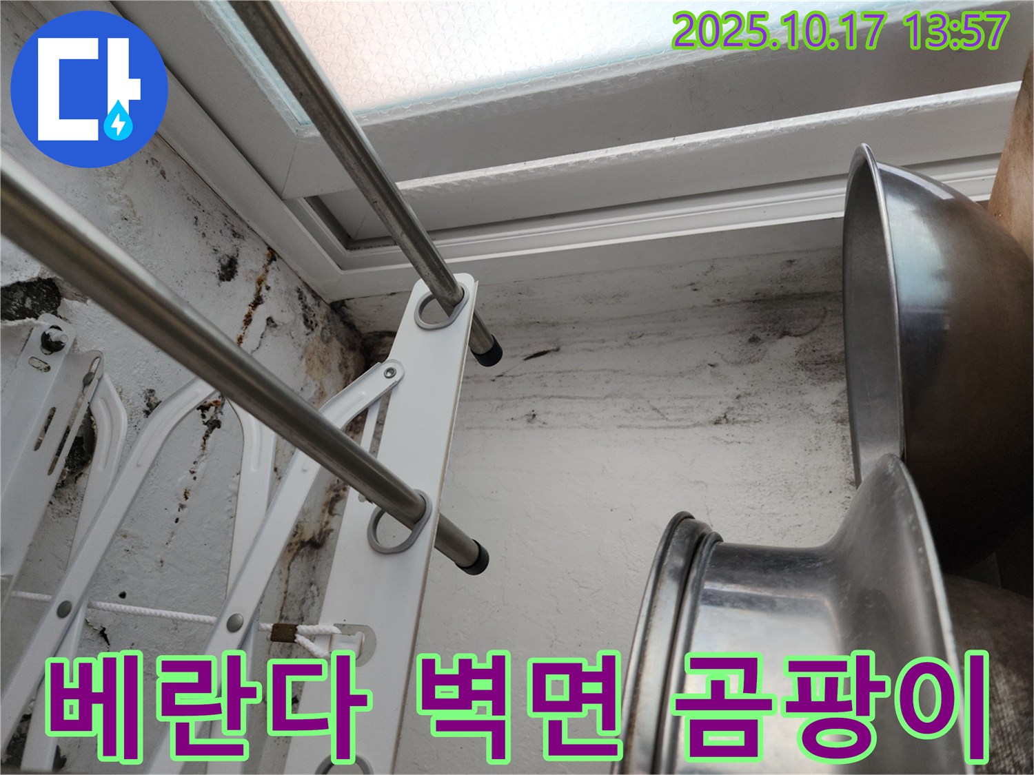 베란다 벽에 심하게 핀 곰팡이-누수와 습기 문제의 심각성을 보여줍니다.