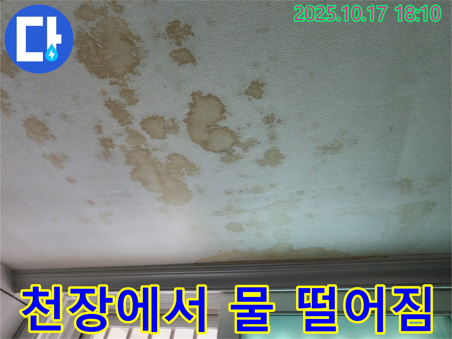 양주시 남면 상수리 주택 천장 누수 - 뚝뚝 떨어지는 천장, 긴급한 누수 상황을 보여주며 빠른 해결의 중요성을 강조