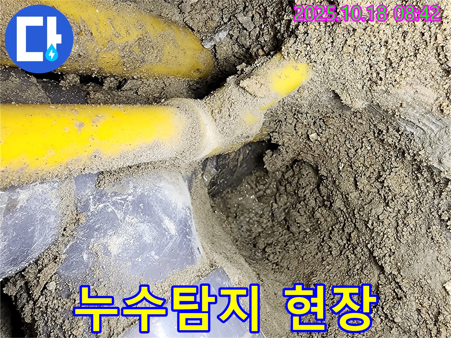 양주시 장흥면 울대리 누수탐지 현장 - 노출된 배관에서 누수 지점을 확인하고 있습니다.