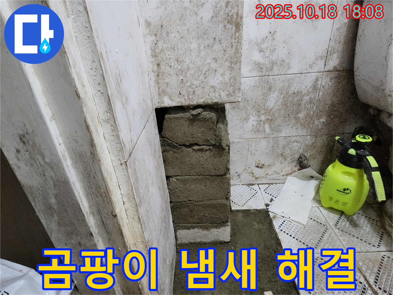 양주시 교현리 벽돌벽 곰팡이 냄새 해결 - 곰팡이 제거와 누수 원인 해결!