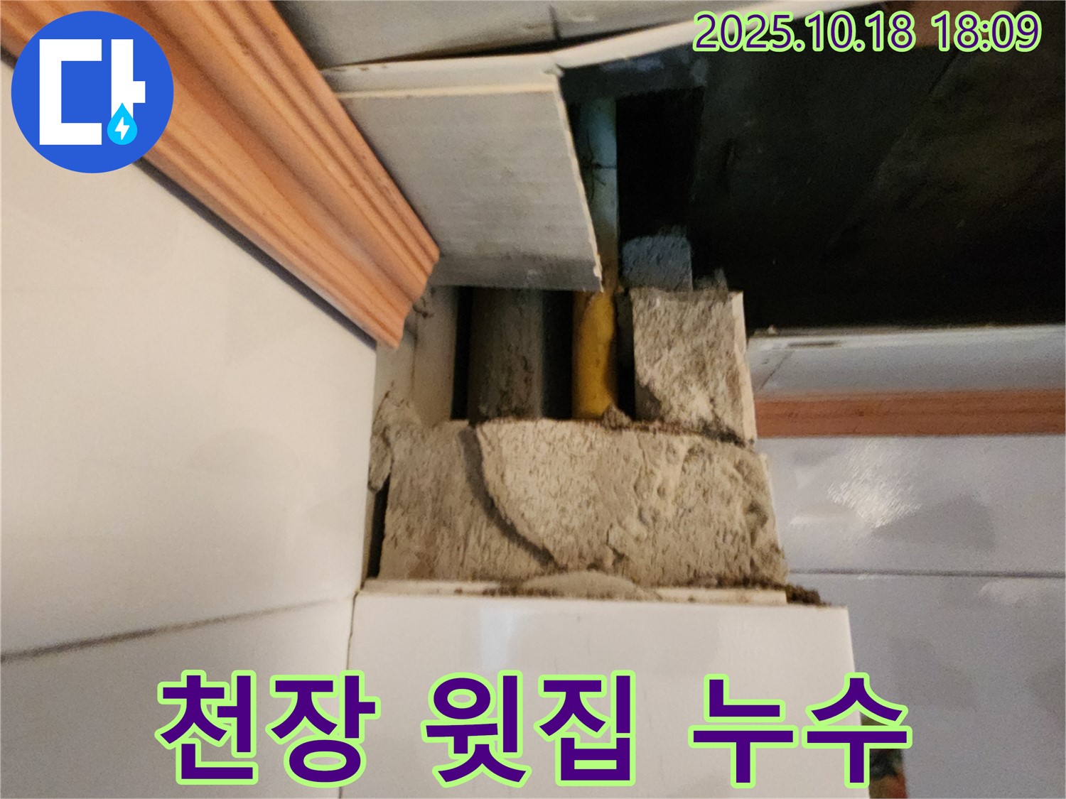 양주시 장흥면 울대리 다용도실 누수 - 윗집 세탁기 배수 문제