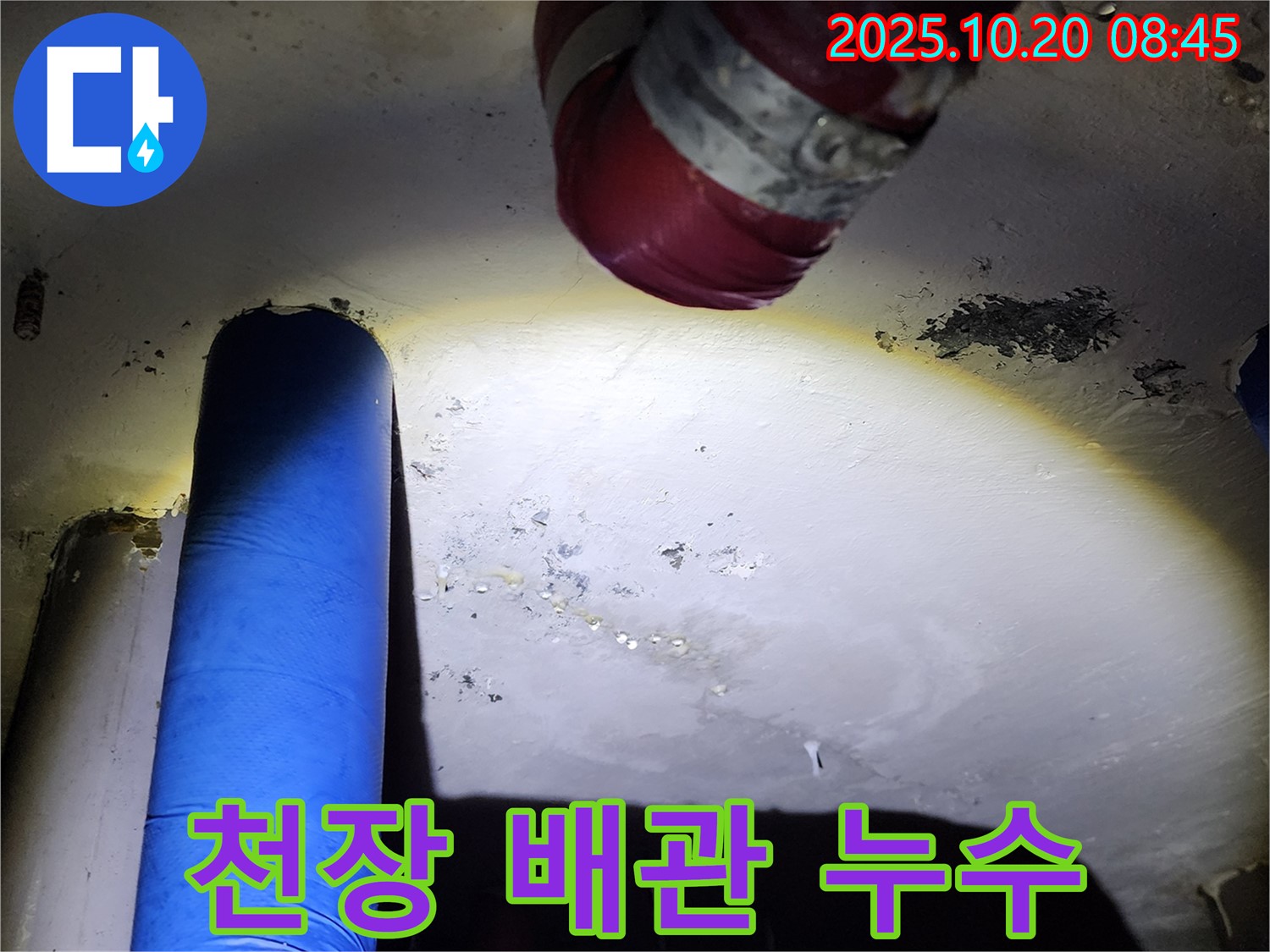 양주시 장흥면 석현리 누수 현장 - 천장 배관에서 발생한 누수 긴급 점검