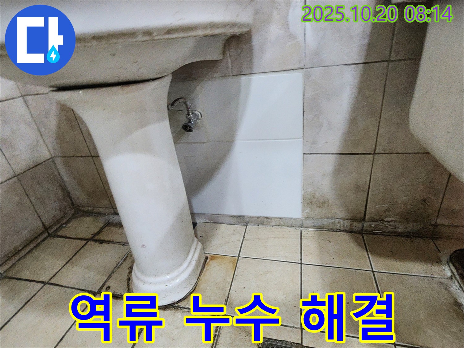 양주시 장흥면 석현리 세면대 누수 - 물 역류로 인해 발생한 누수 문제, 깨끗하게 해결했습니다.