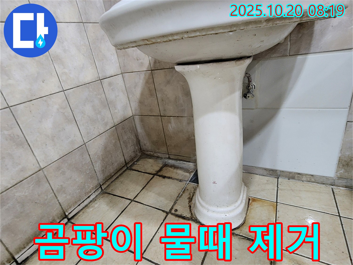 양주시 장흥면 석현리 세면대 주변 - 세면대 주변의 곰팡이와 물때를 완벽하게 제거하는 시공 모습입니다.