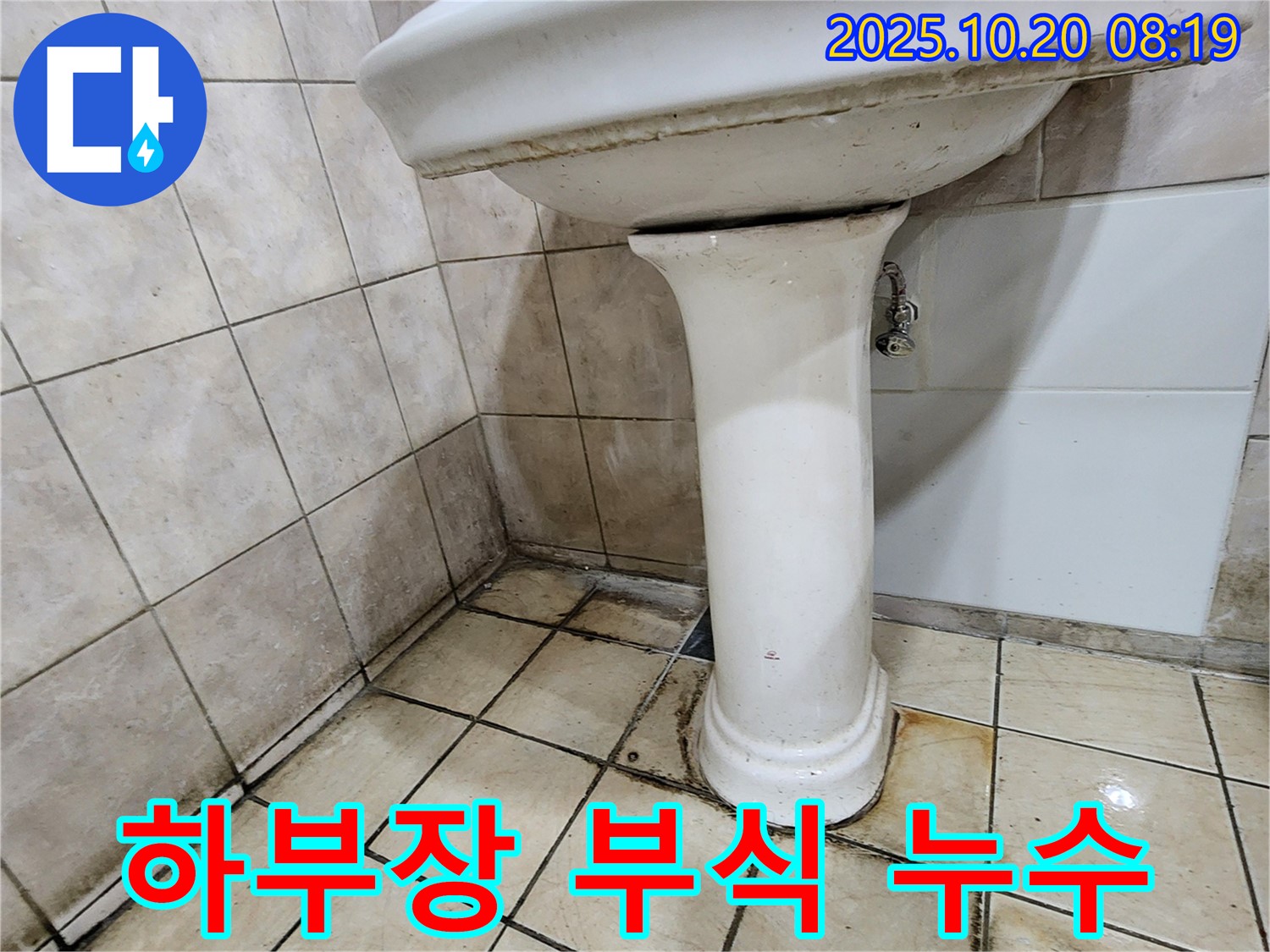 양주시 장흥면 석현리 세면대 하부장 - 세면대 하부장이 누수로 인해 부식된 상태를 보여줍니다.