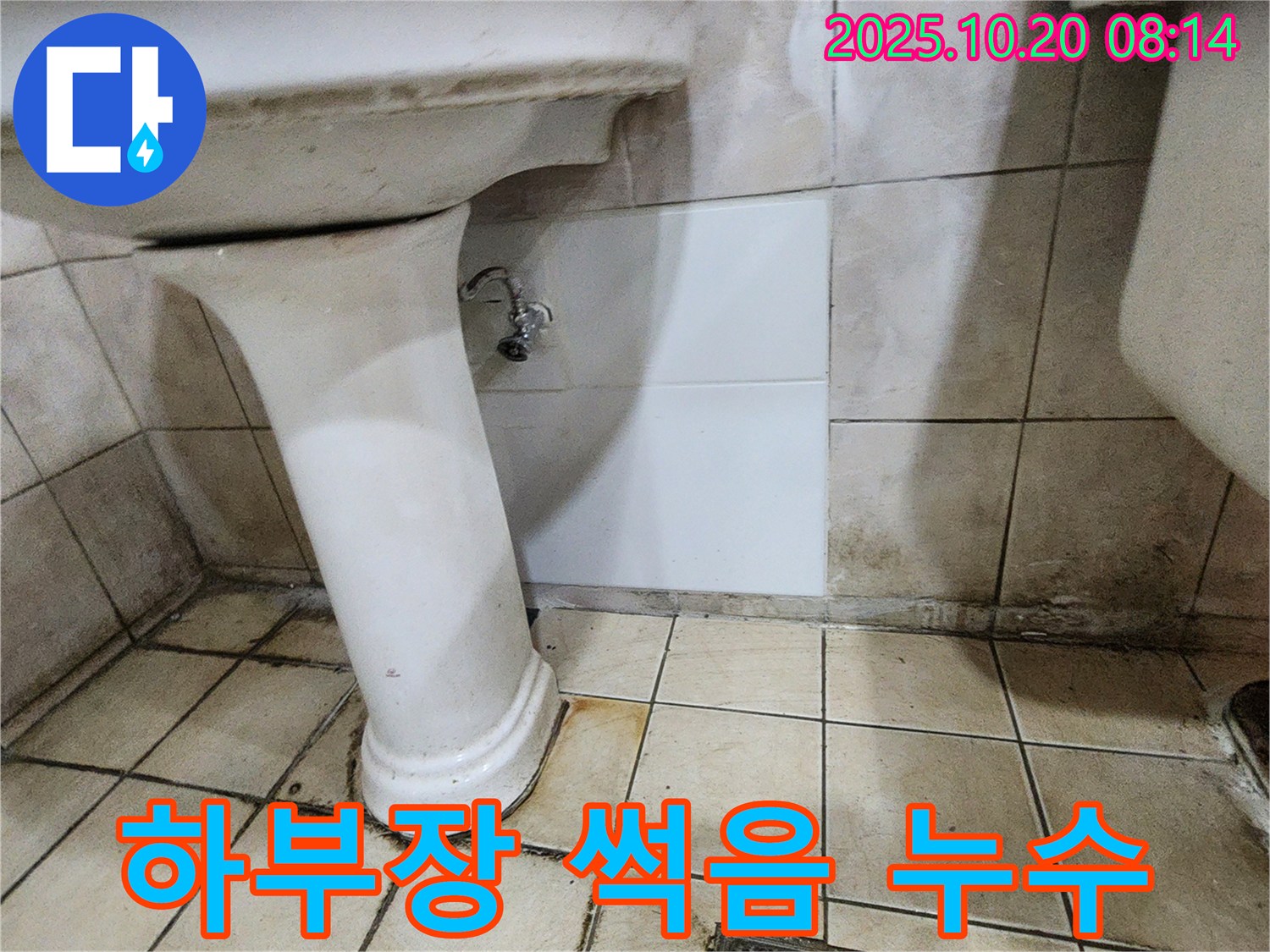 양주시 장흥면 석현리 세면대 하부장 썩음 - 썩어가는 하부장, 곰팡이와 함께 누수의 흔적을 보여줍니다.