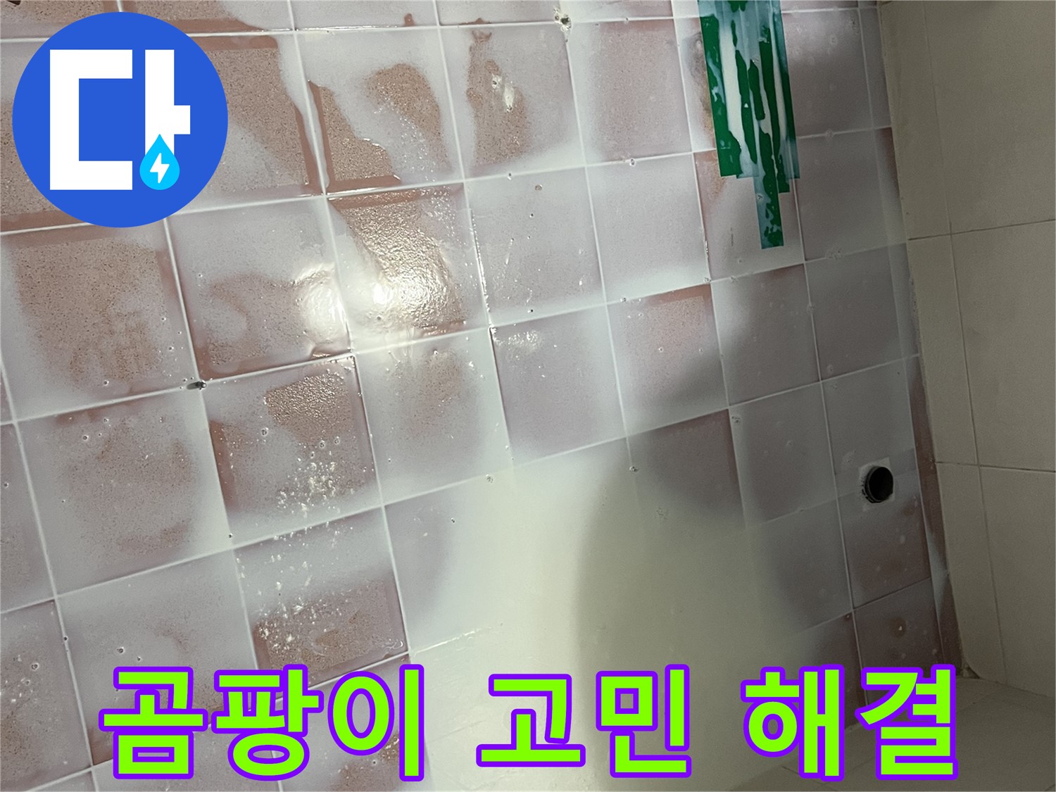 곰팡이 세척 - 곰팡이 고민 끝!