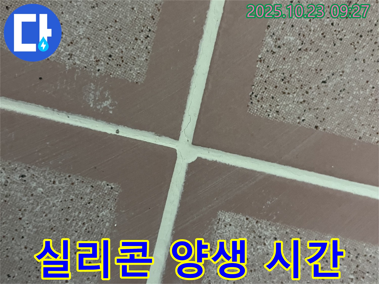 금천구 독산동 누수 - 실리콘 시공 후 - 완벽한 양생 시간은?