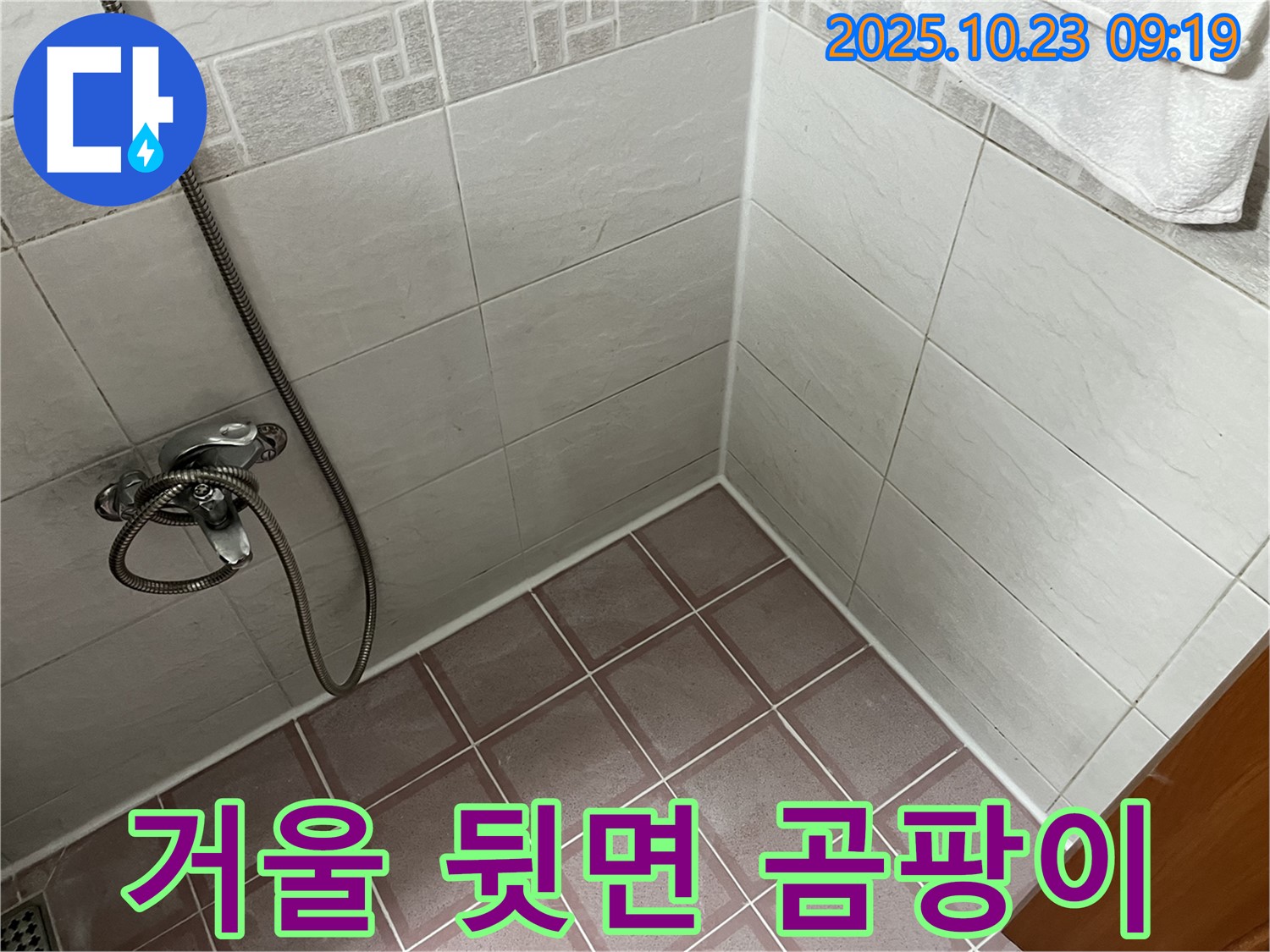 금천구 독산동 욕실 누수 - 거울 뒷면 곰팡이 발생 - 습기로 인한 누수 의심