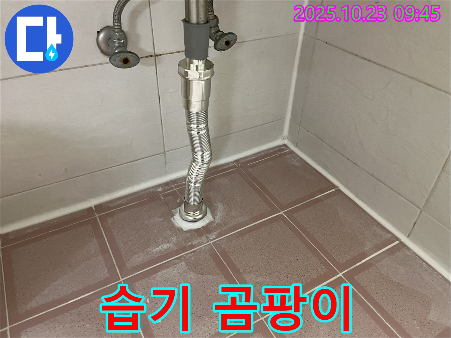 금천구 독산동 형제맨션빌 세면대 누수 - 배수관 주변 습기로 곰팡이가 심하게 번식했어요!