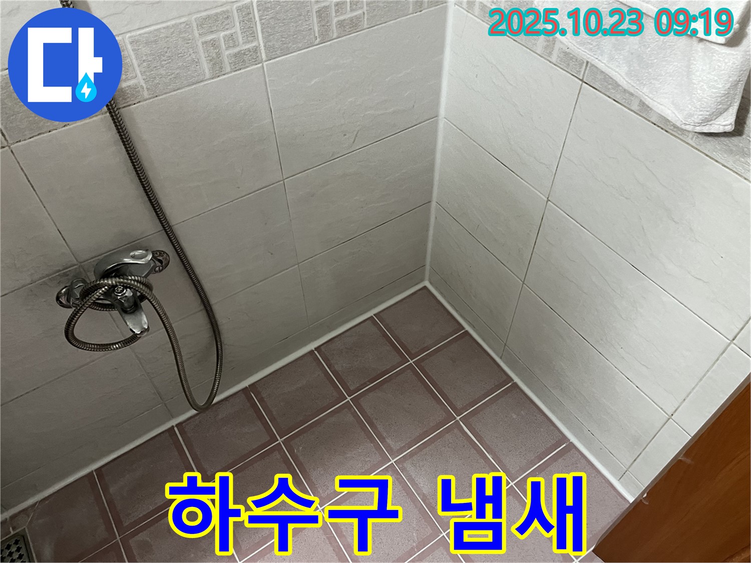 금천구 독산동 형제맨션빌 욕실 누수 - 샤워기 사용 시 하수구 냄새 - 배수 트랩 점검 필요