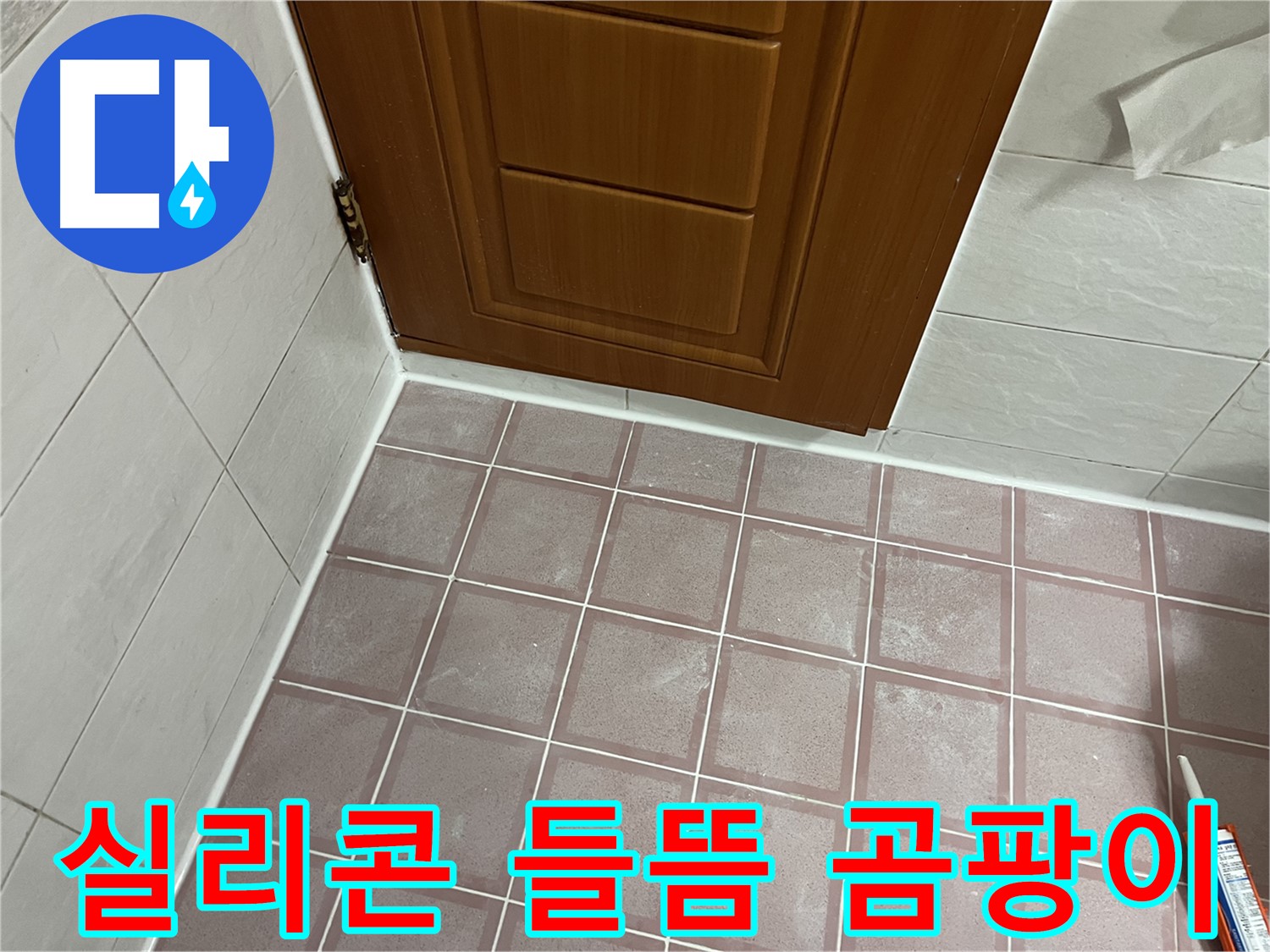 금천구 독산동 형제맨션빌 욕실 - 문 하단 타일 틈새 실리콘의 심각한 들뜸과 곰팡이 상태 점검