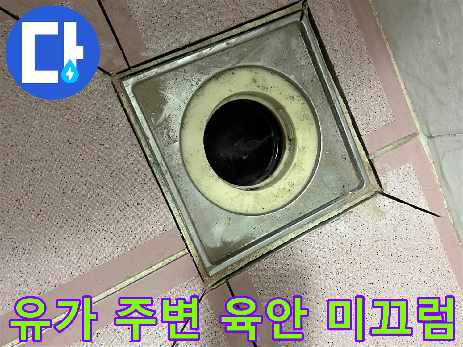 금천구 독산동 형제빌 유가 주변 육안 및 미끄럼 점검 - 종합 누수 진단