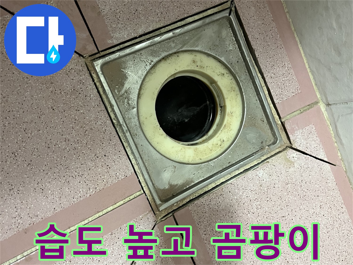 금천구 형제빌 화장실 유가 주변 습도 높고 곰팡이 - 원인 조사