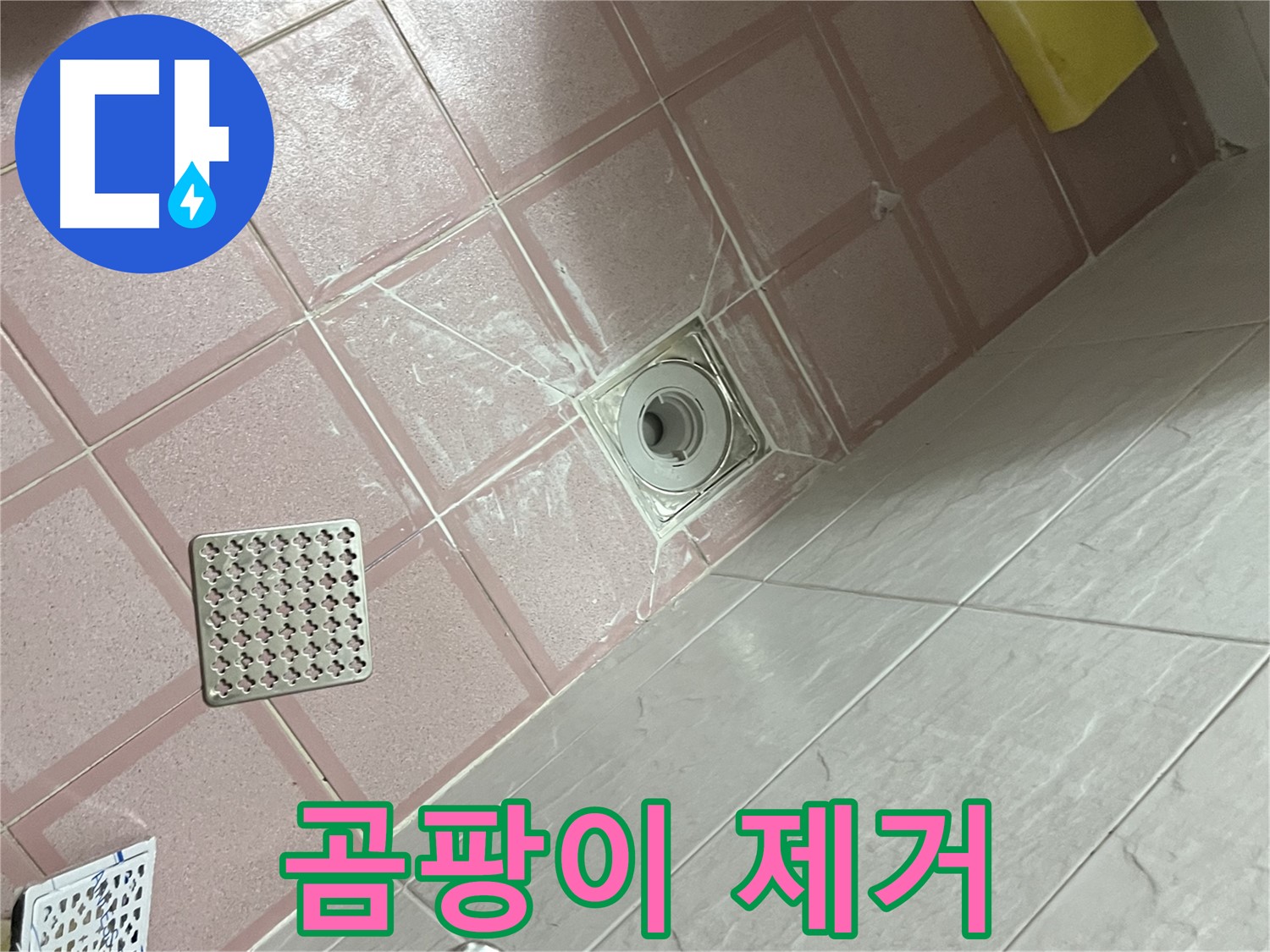 독산동 형제맨션빌 욕실 누수 - 배수구 주변 곰팡이 제거