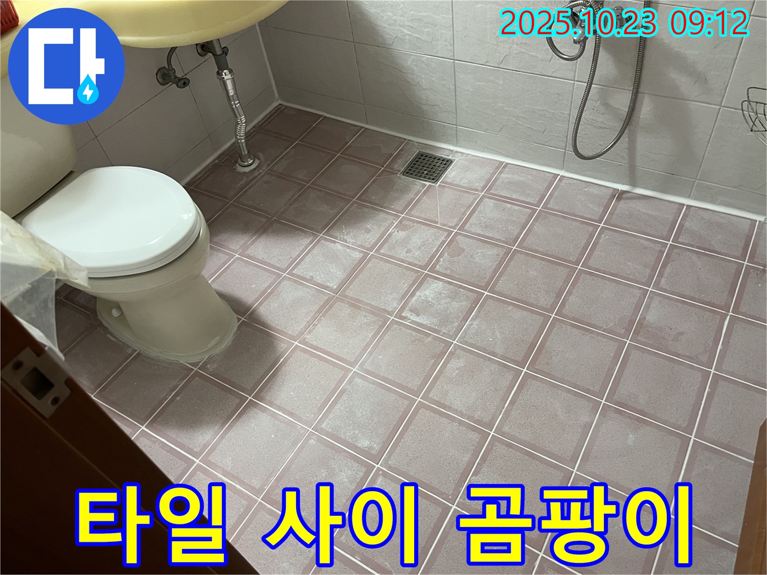 독산동 형제맨션빌 욕실 누수 - 타일 사이 검은 곰팡이 - 락스 등으로 간단하게 제거할 수 있습니다.