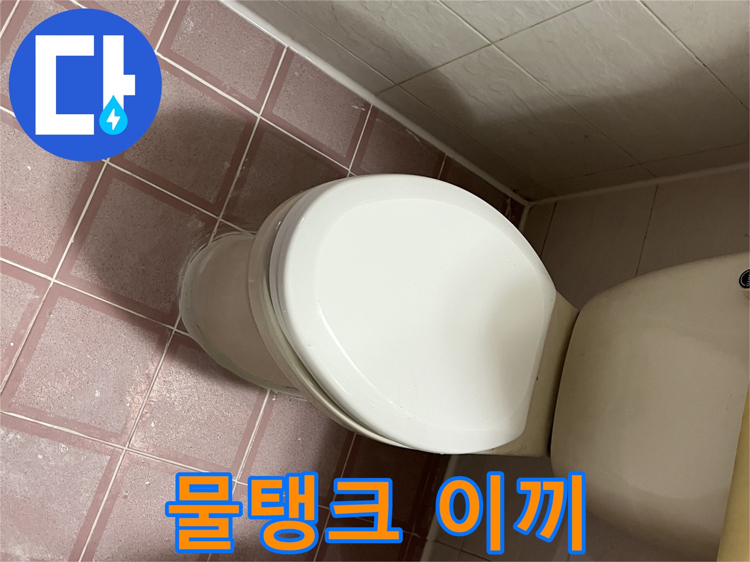 변기 누수 - 독산동 형제맨션빌 변기 물탱크에 이끼가 낀 누수