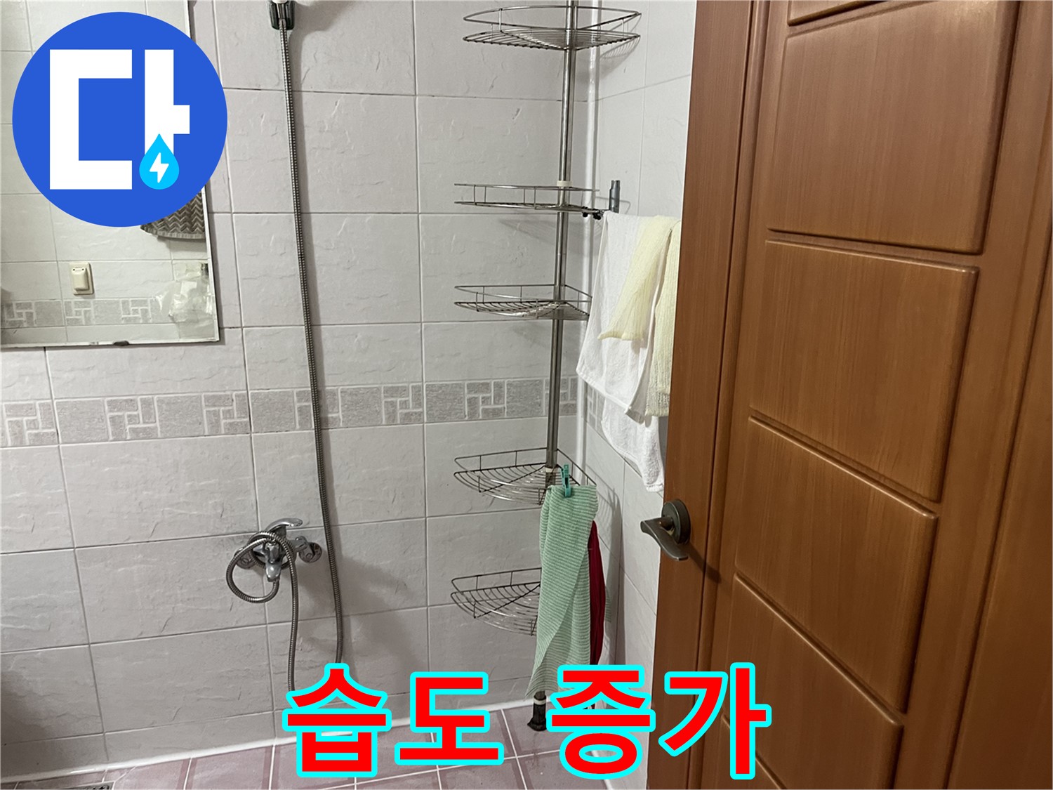샤워기 틈새 코너 누수 - 습도 증가로 곰팡이 서식 환경 조성