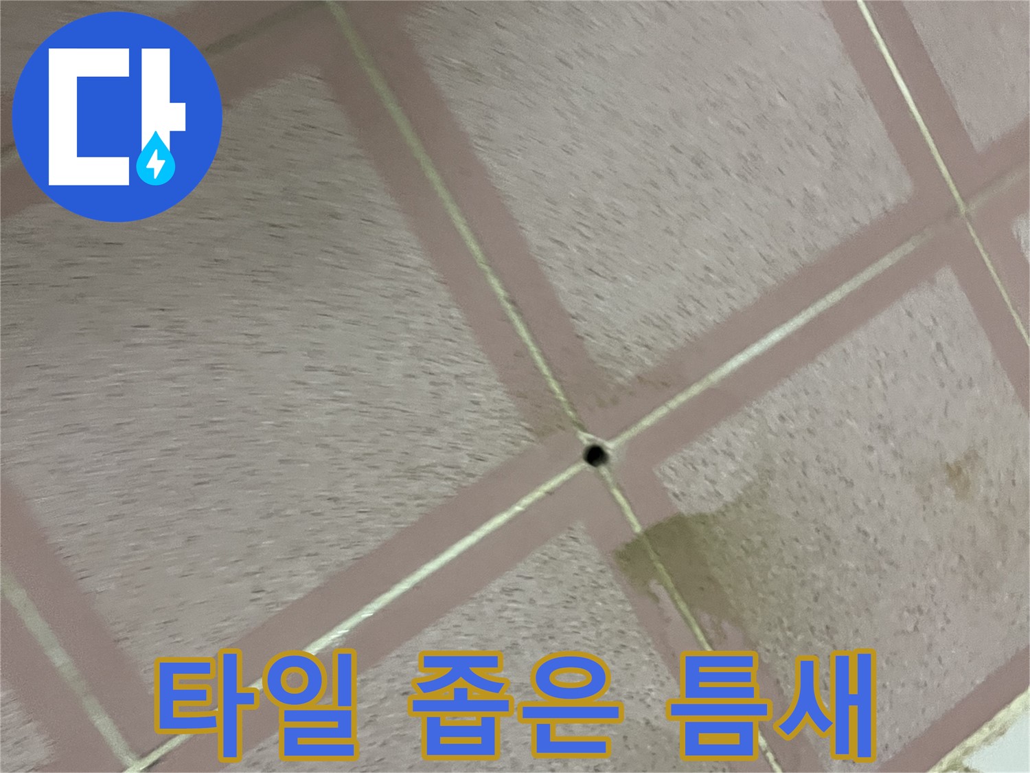 타일 사이 좁은 틈새 물기 - 금천구 형제빌 누수