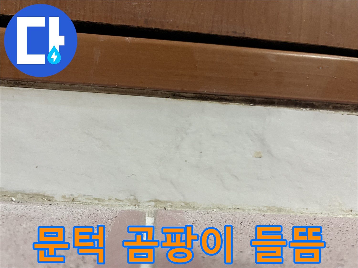 형제맨션빌 누수 - 문턱 아래 타일 틈새 곰팡이와 백시멘트 들뜸