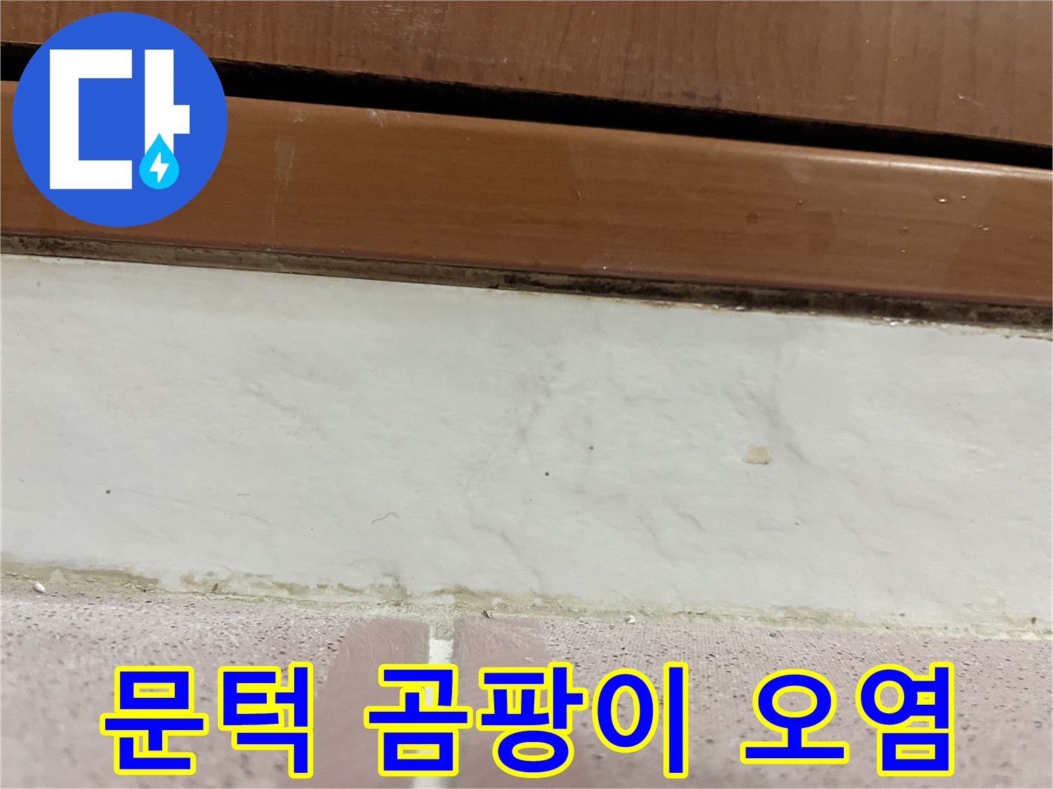 형제맨션빌 누수 - 문턱 아래 타일 틈새 곰팡이와 백시멘트 오염