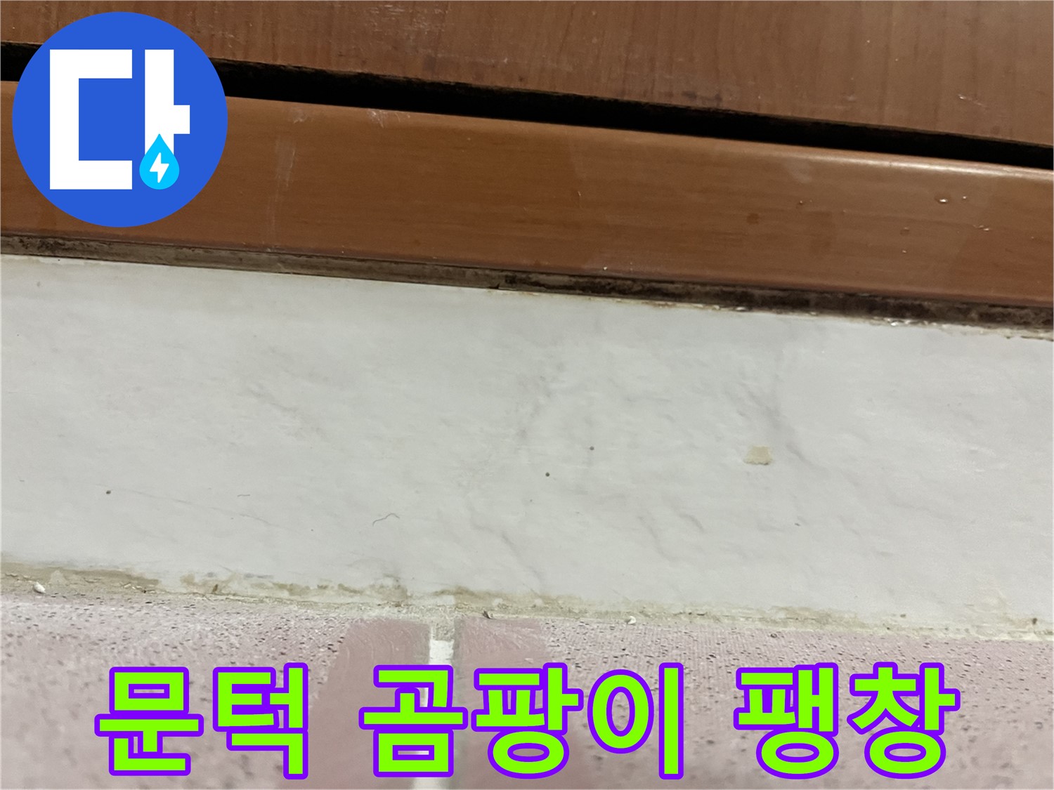 형제맨션빌 누수 - 문턱 아래 타일 틈새 곰팡이와 백시멘트 팽창
