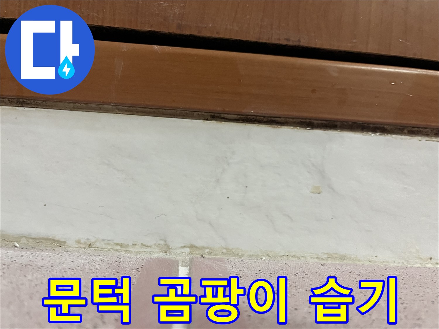 형제맨션빌 누수 - 문턱 아래 타일 틈새 곰팡이와 습기