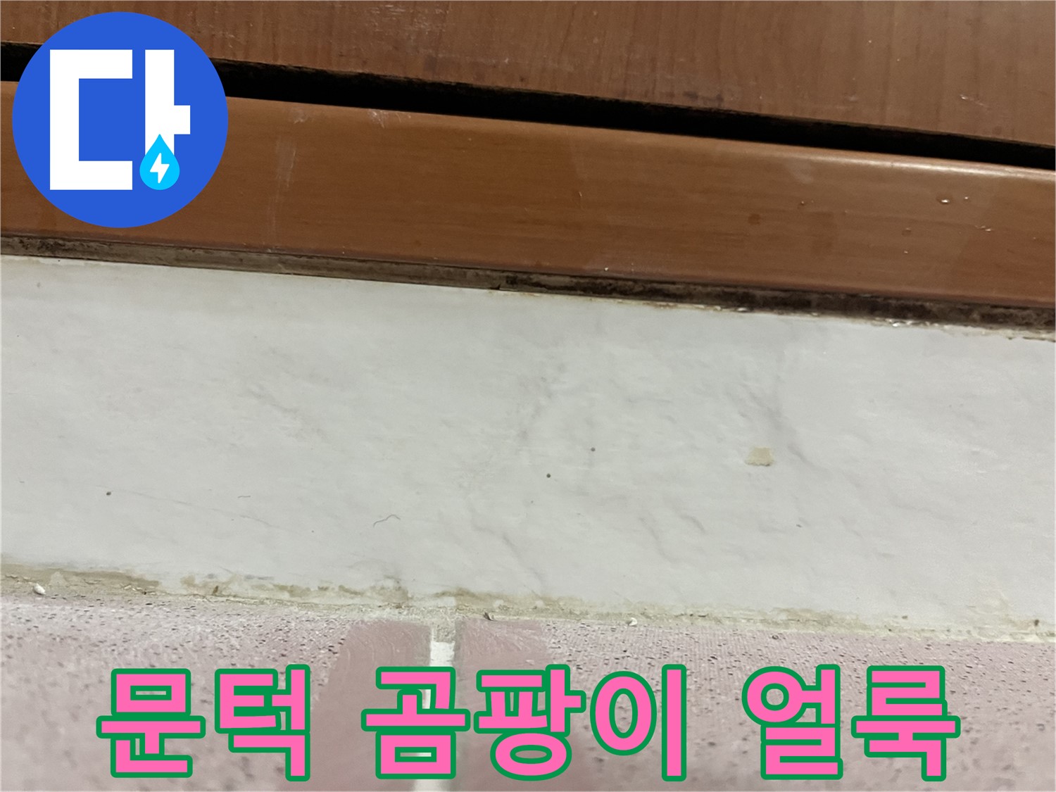 형제맨션빌 누수 - 문턱 아래 타일 틈새 곰팡이와 얼룩
