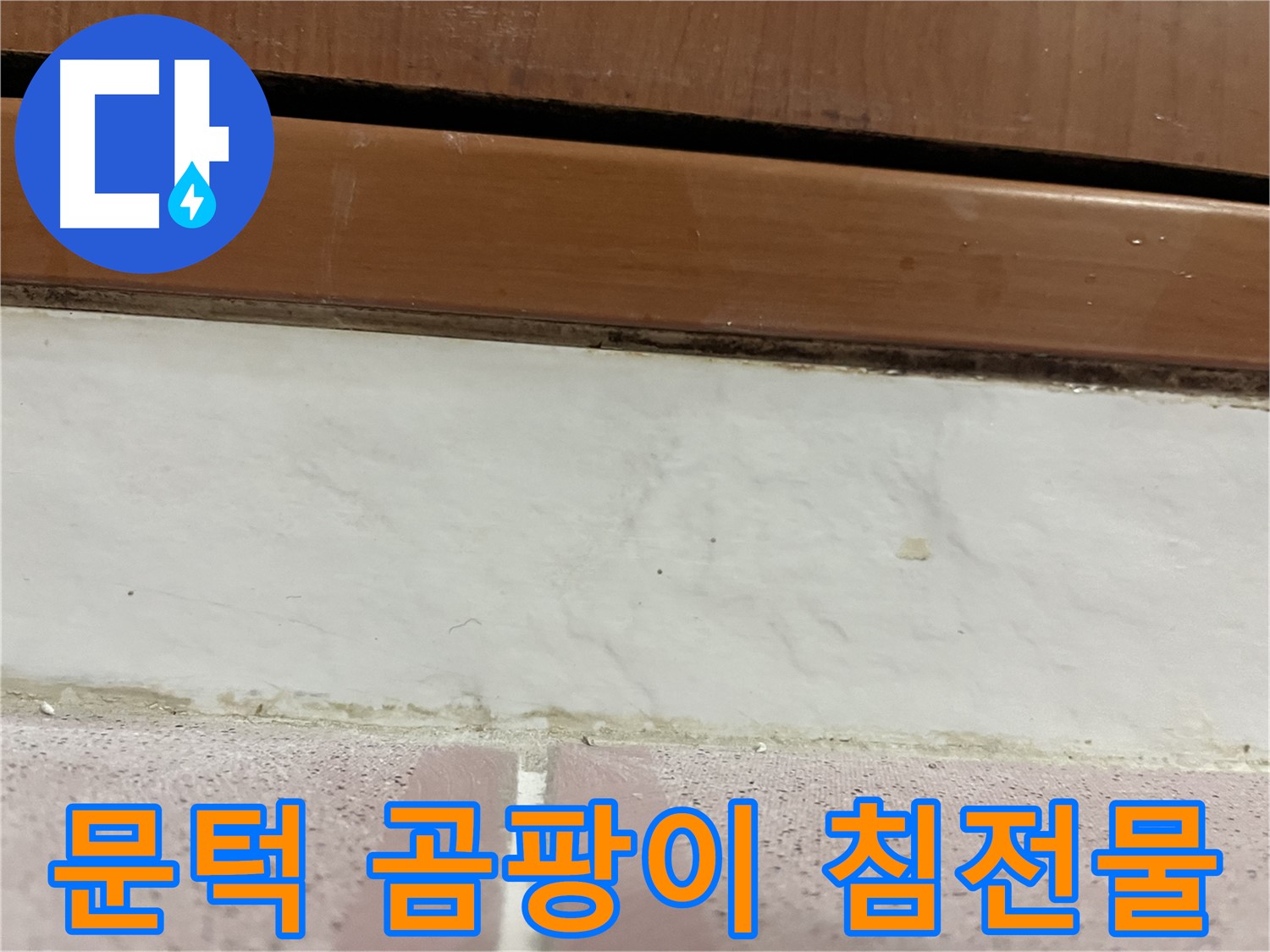 형제맨션빌 누수 - 문턱 아래 타일 틈새 곰팡이와 침전물