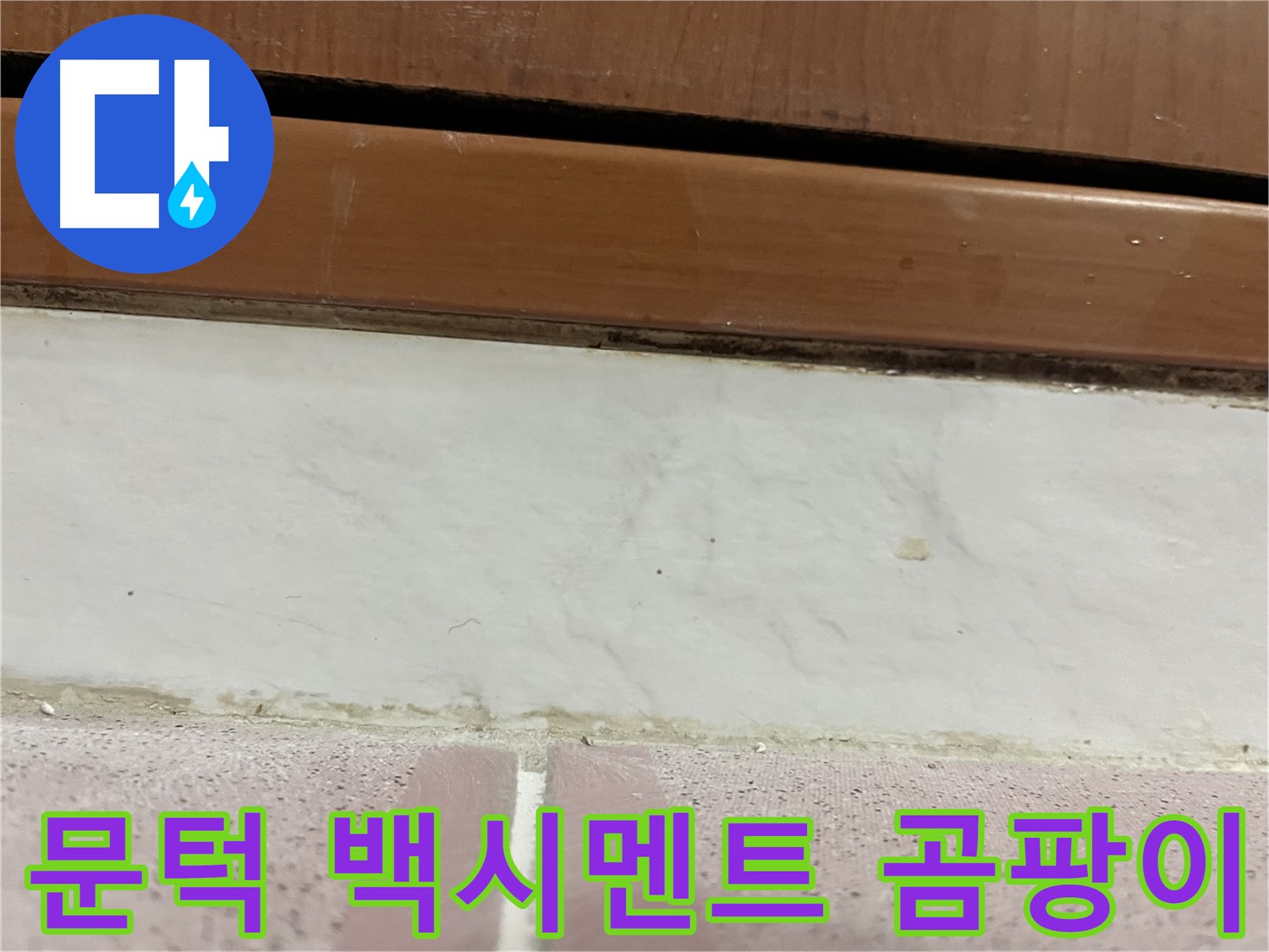 형제맨션빌 누수 - 문턱 아래 타일 틈새 백시멘트 손상과 곰팡이