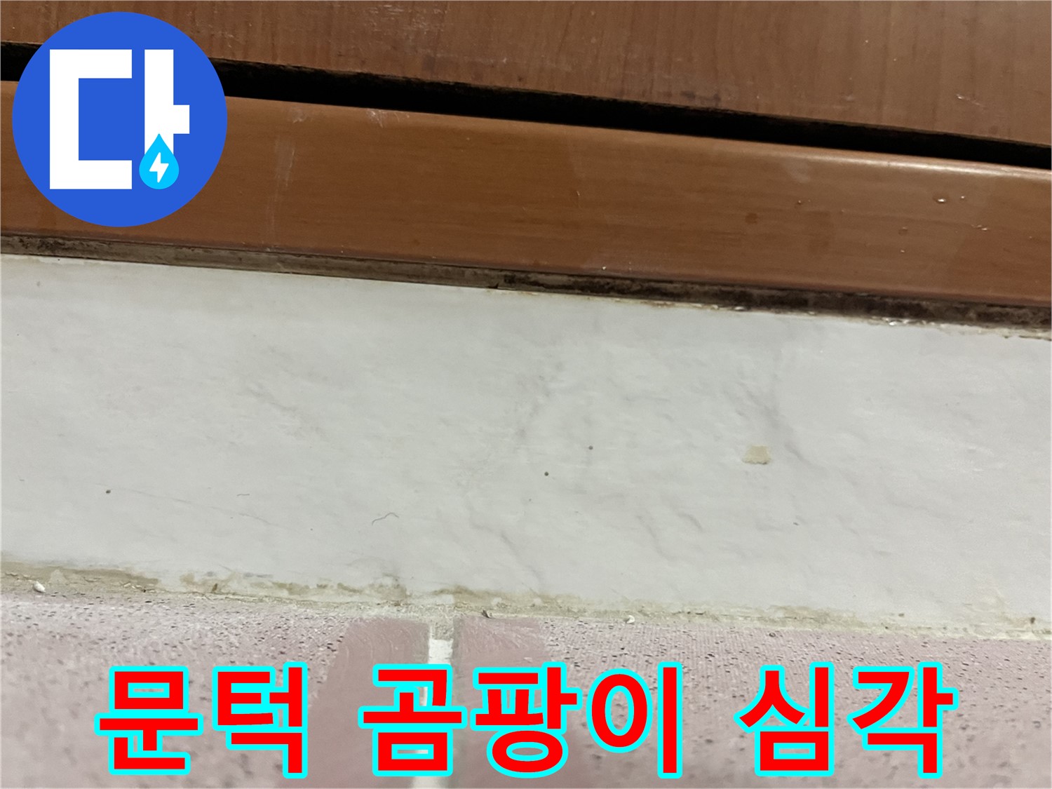 형제맨션빌 누수 - 문턱 주변 타일 틈새 곰팡이와 검은 때 심각
