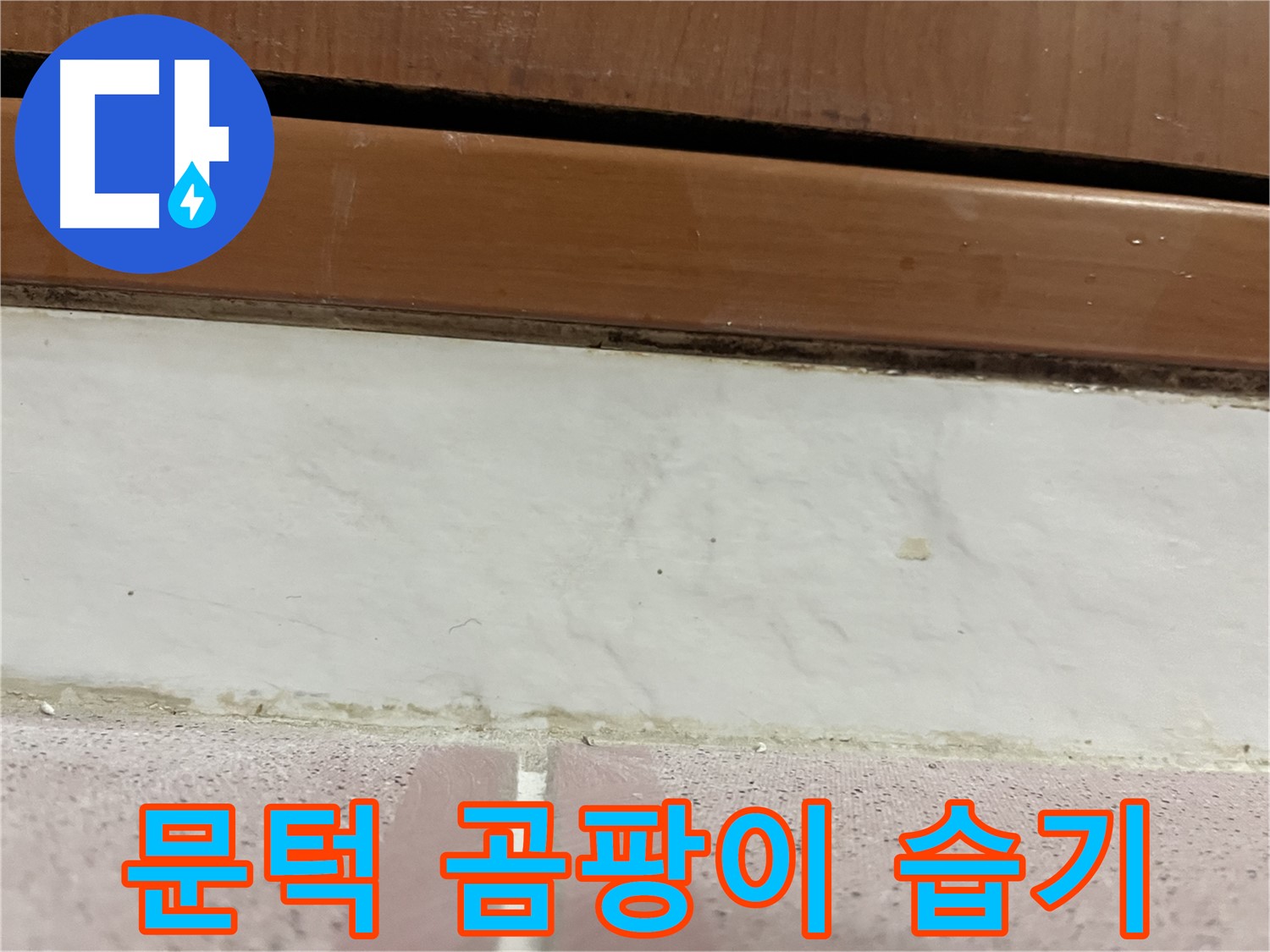 형제맨션빌 누수 - 문턱 주변 타일 틈새 곰팡이와 습기