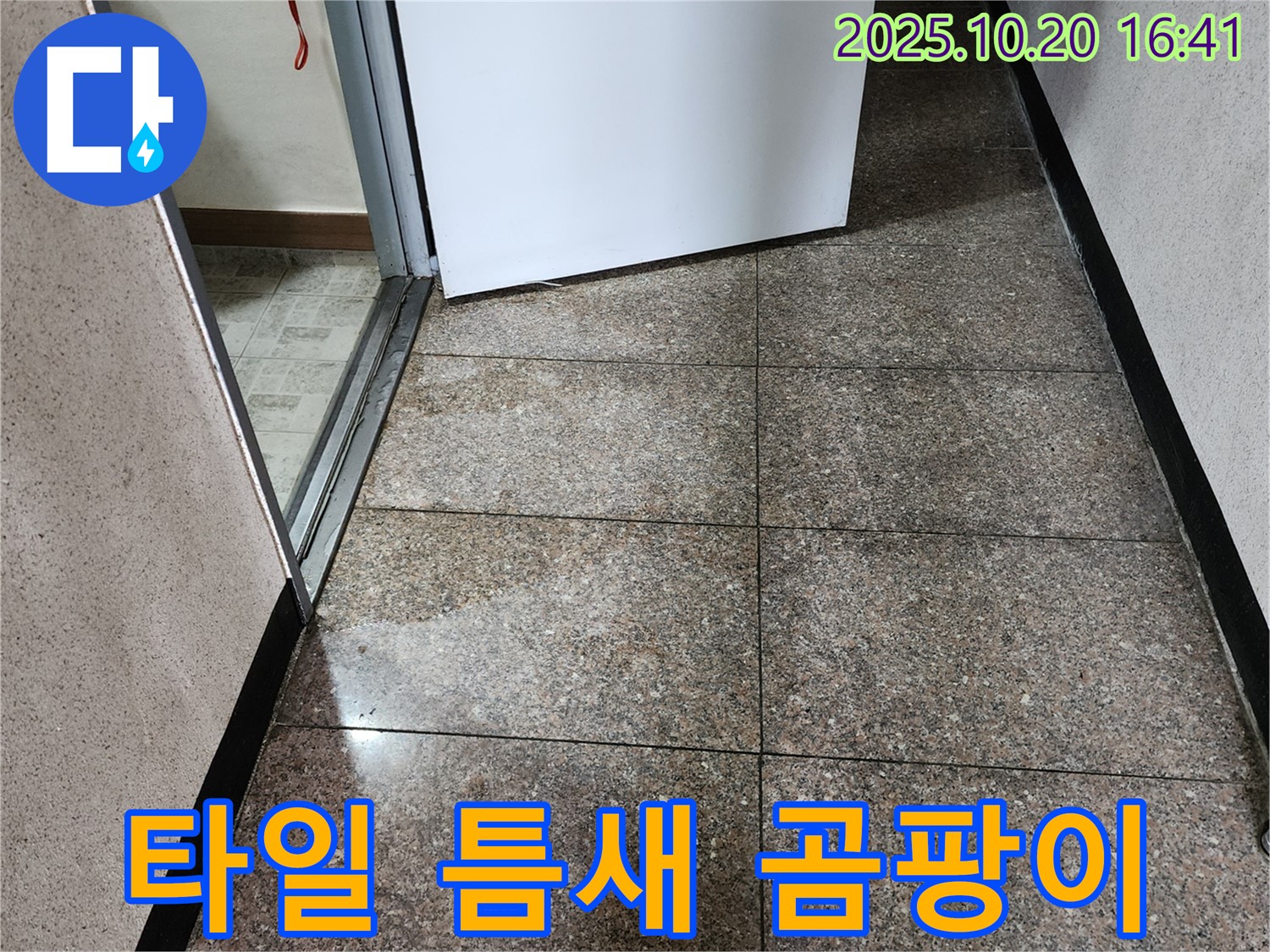 양주시 장흥면 부곡리 누수 현장 - 타일 틈새에 곰팡이가 피어 있습니다 - 악취를 유발할 수 있습니다.