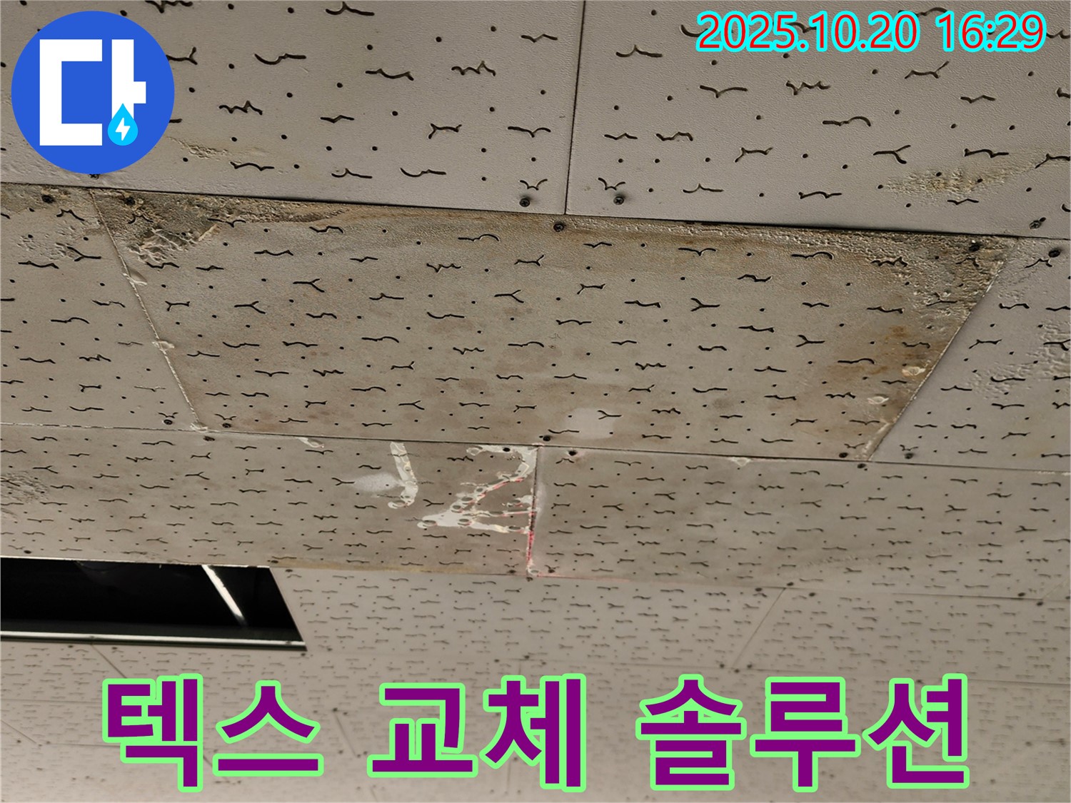 텍스 교체 솔루션 - 텍스 상태에 따른 맞춤 교체 솔루션 제시 - 합리적인 비용으로 최상의 결과.