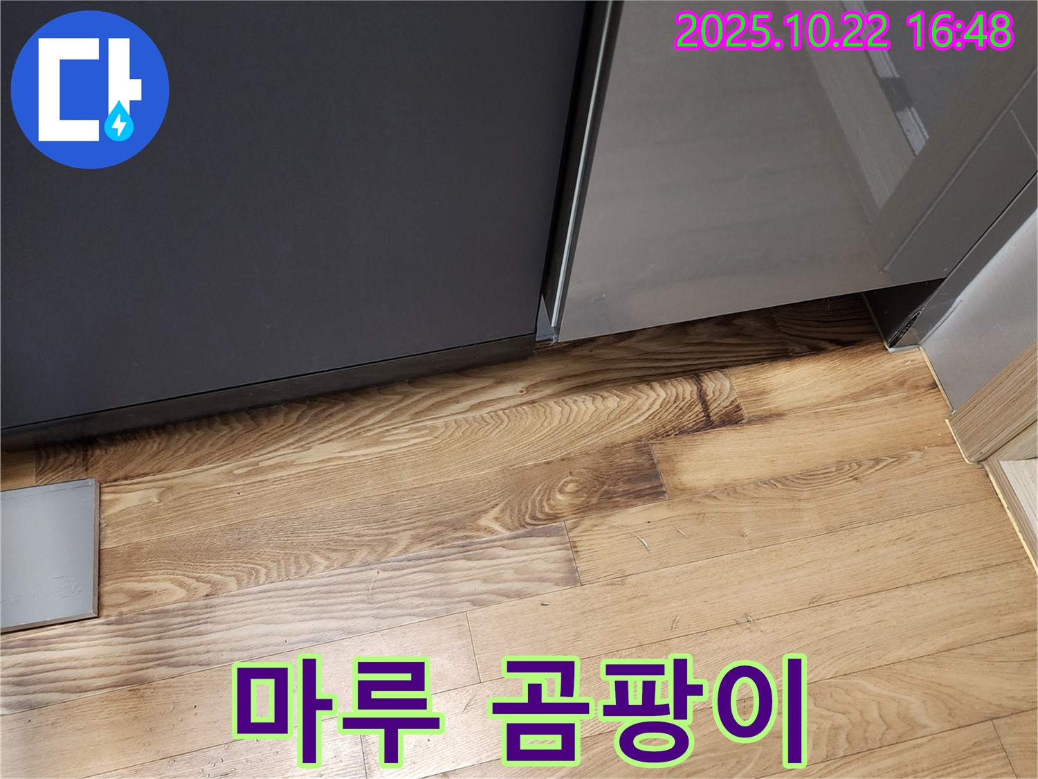 싱크대 하부 마루 곰팡이 - 습기 - 곰팡이 완전 제거
