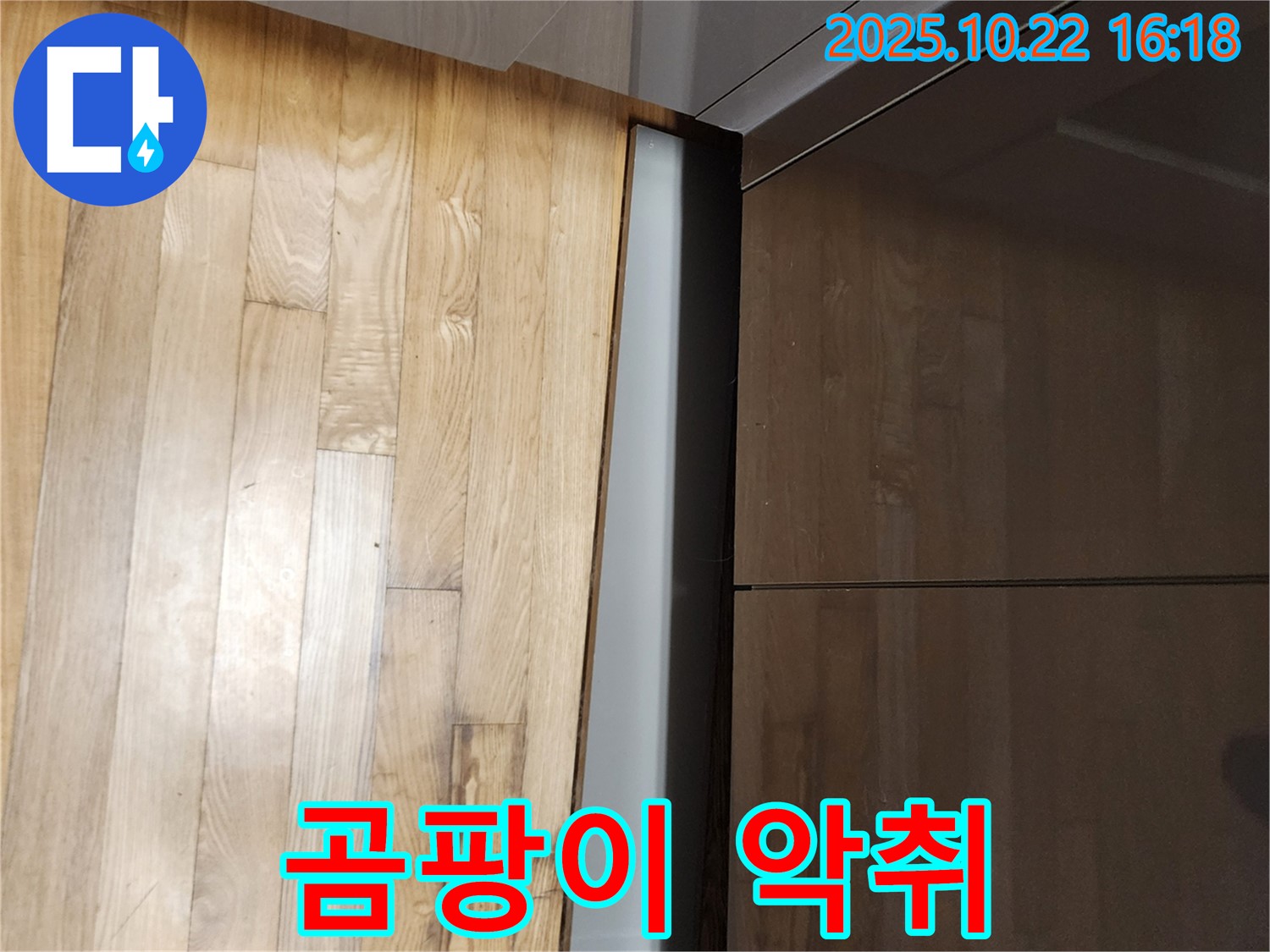 양주 용암리 싱크대 하부 곰팡이 - 악취, 나무 부식 동반 시 심각한 누수를 의심하세요.