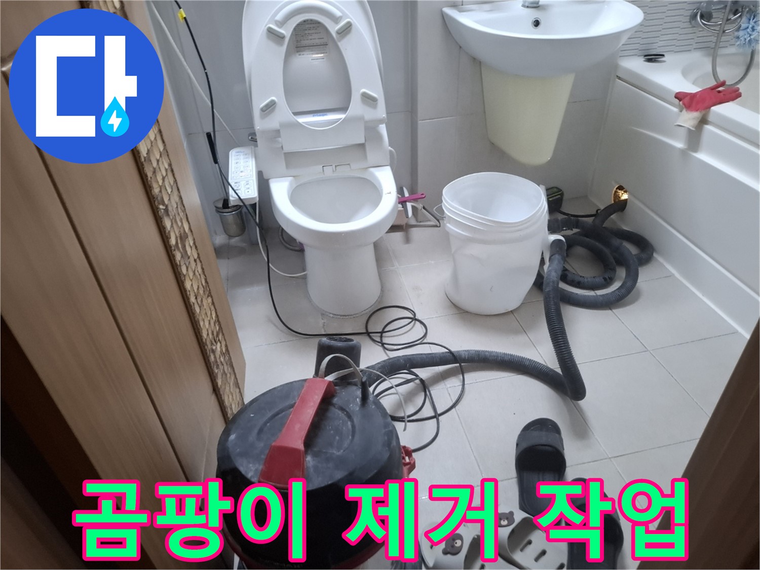 곰팡이 제거 작업 - 습식 청소 후, 변기 주변 곰팡이를 깨끗하게 제거합니다.