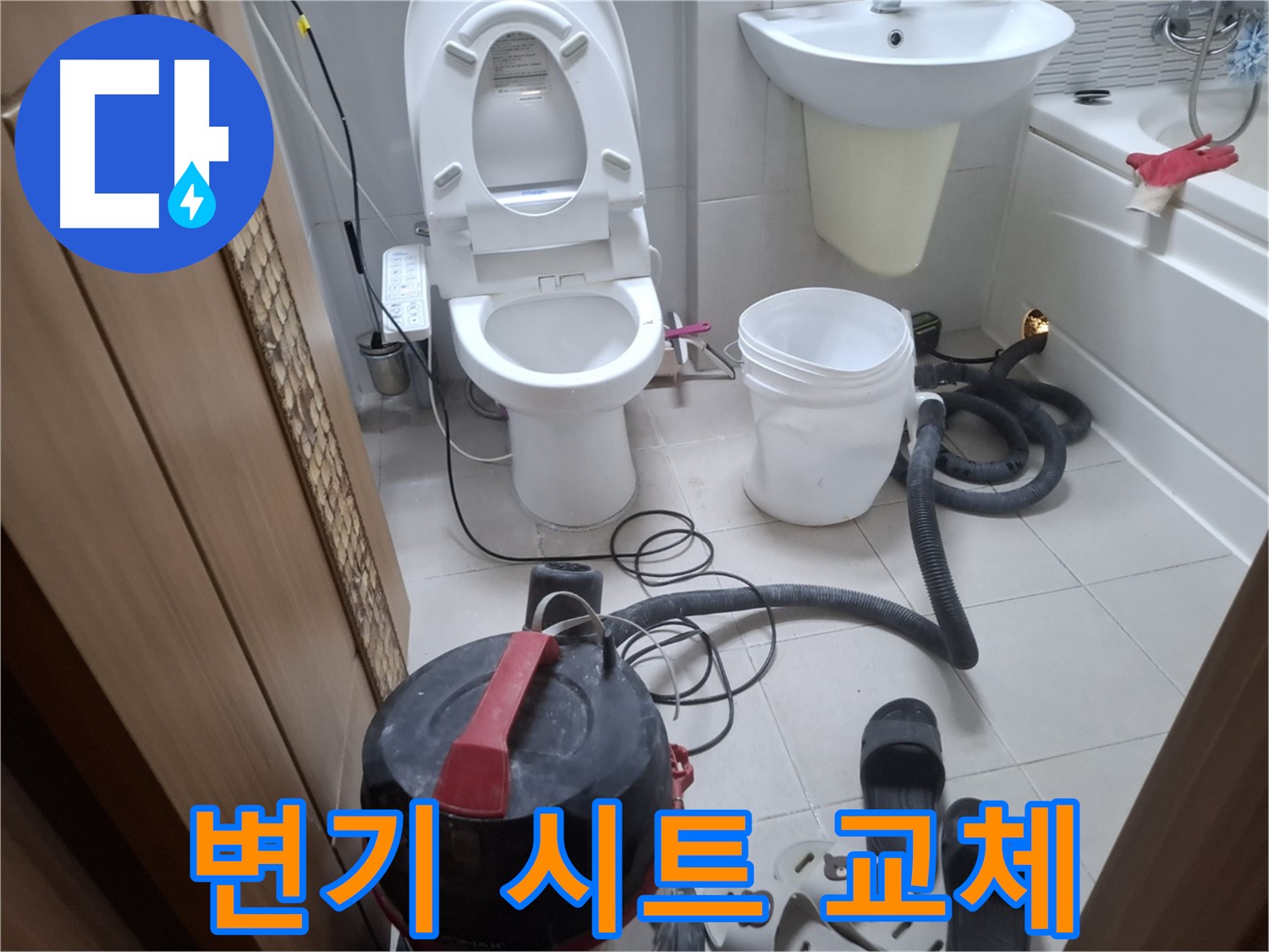 변기 시트 교체 - 습식 청소 후, 낡은 변기 시트를 새 것으로 교체합니다.