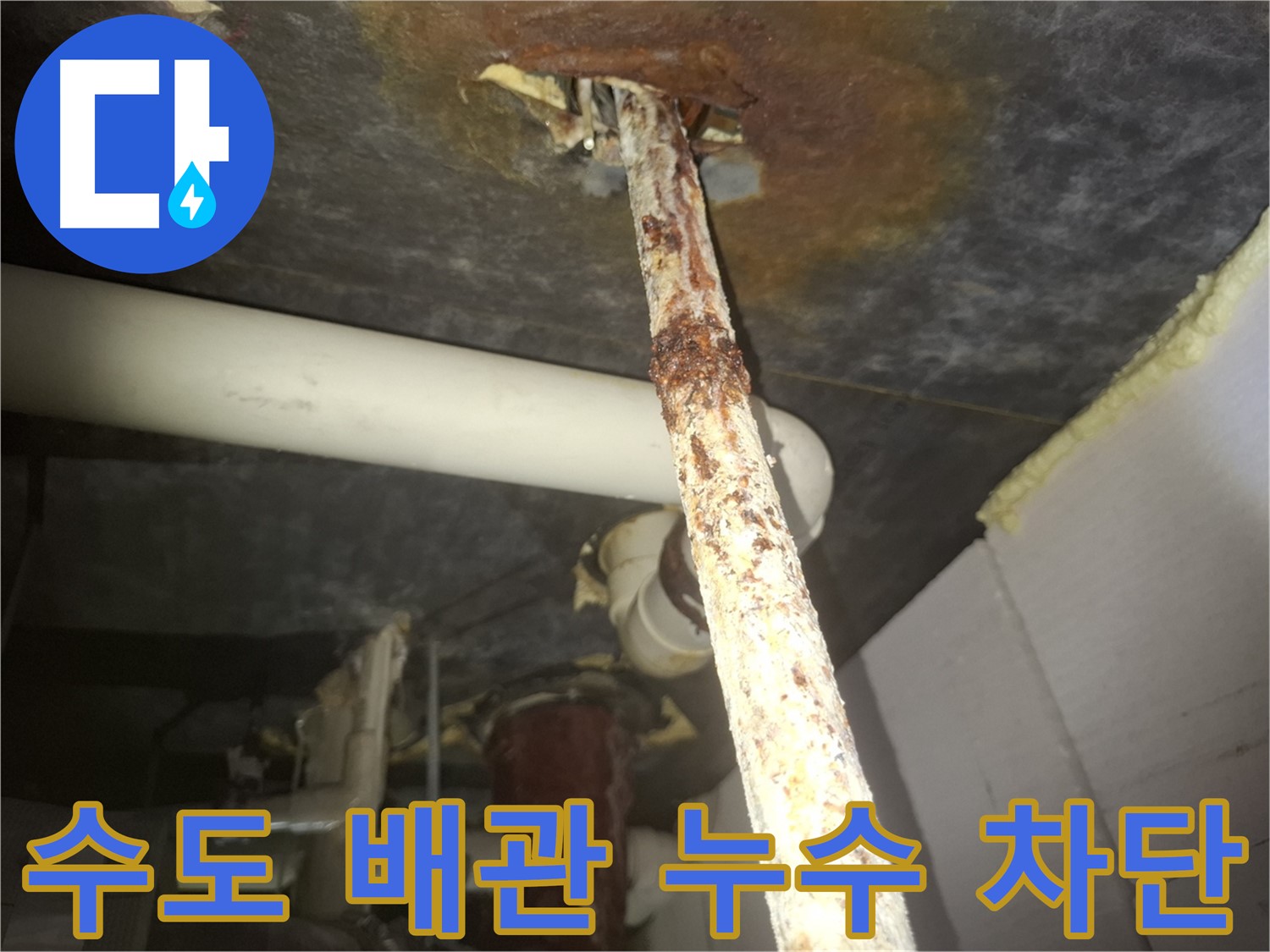 수원 신풍동에서 수도 배관 누수를 완벽하게 차단합니다 - 정확한 진단과 꼼꼼한 시공으로 누수 문제를 해결합니다.
