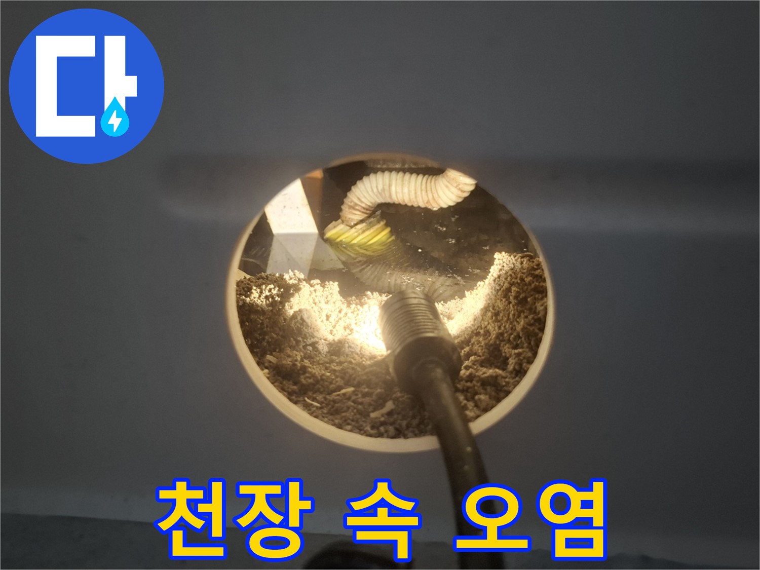 수원 팔달구 신풍동 누수 - 천장 속 오염물질 가득