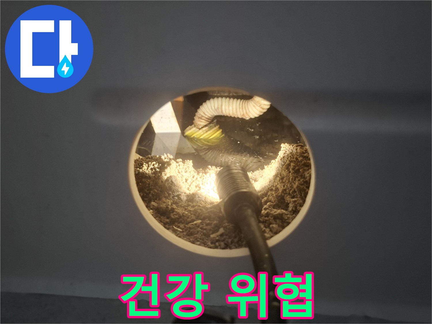 수원 팔달구 신풍동 누수 - 천장 속 흙먼지 건강 위협