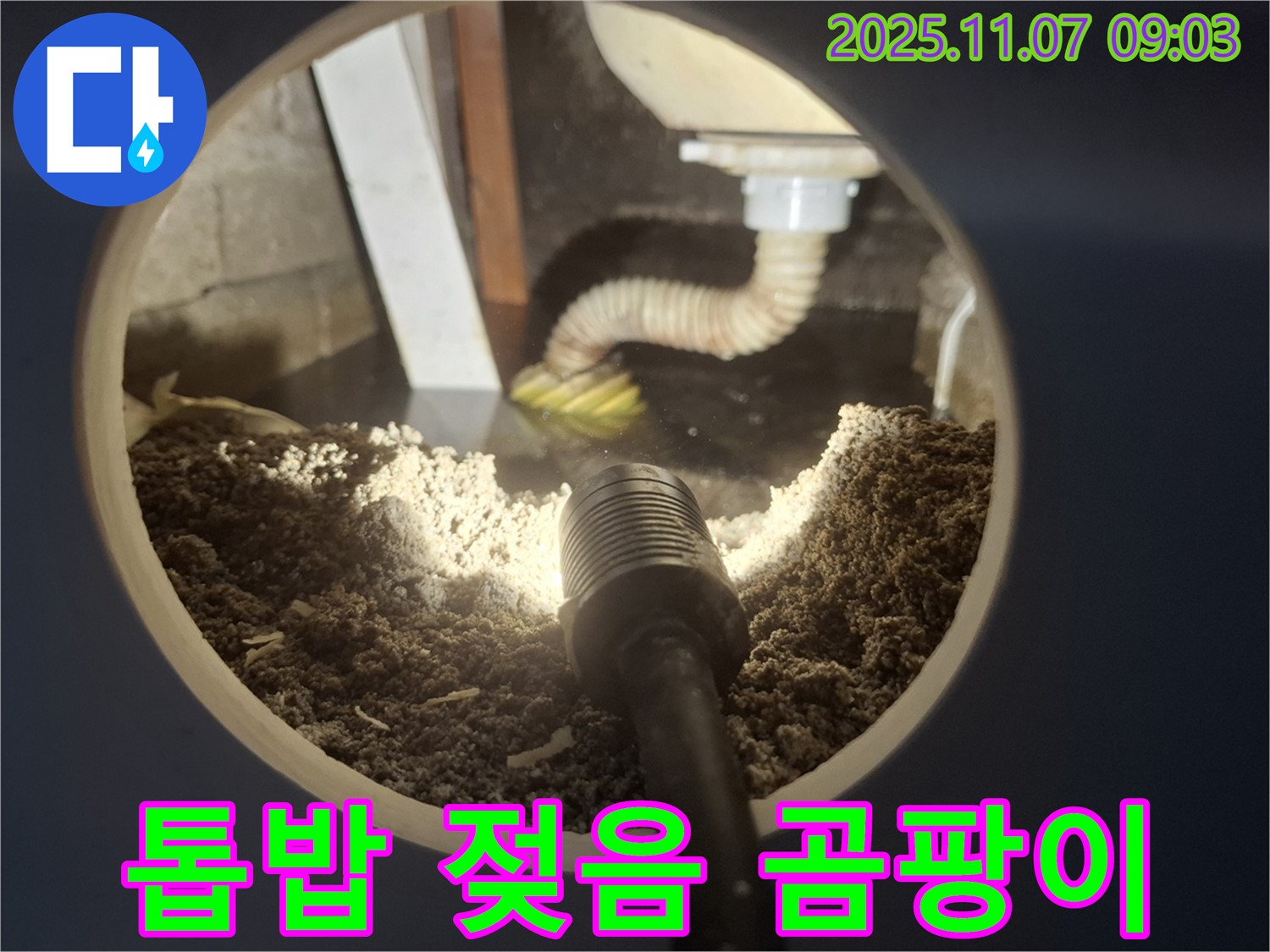 수원 팔달구 신풍동 싱크대 하부 톱밥 젖음 - 배수구 주변 곰팡이와 악취