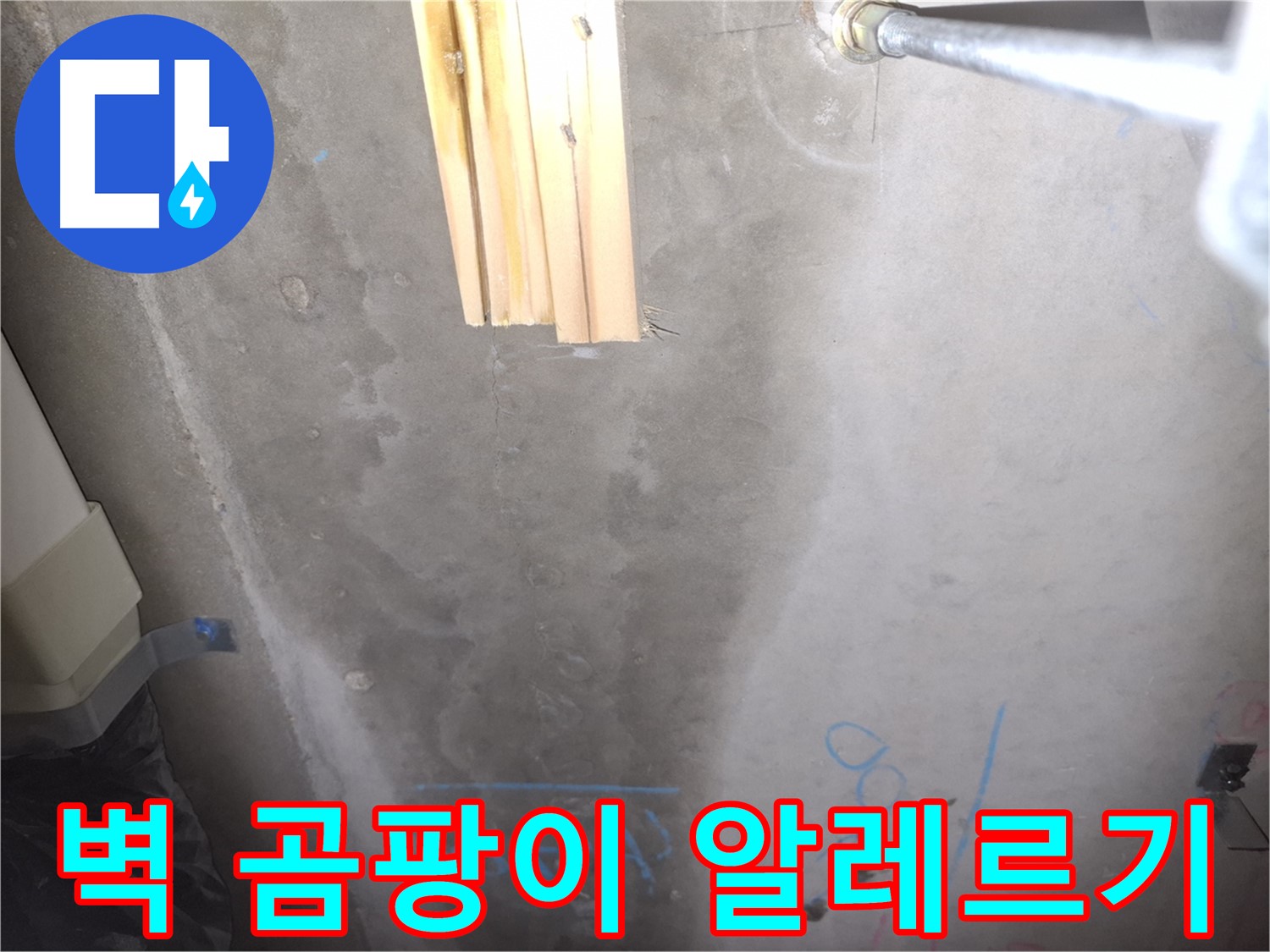 콘크리트 벽 누수 - 곰팡이 냄새와 알레르기 유발