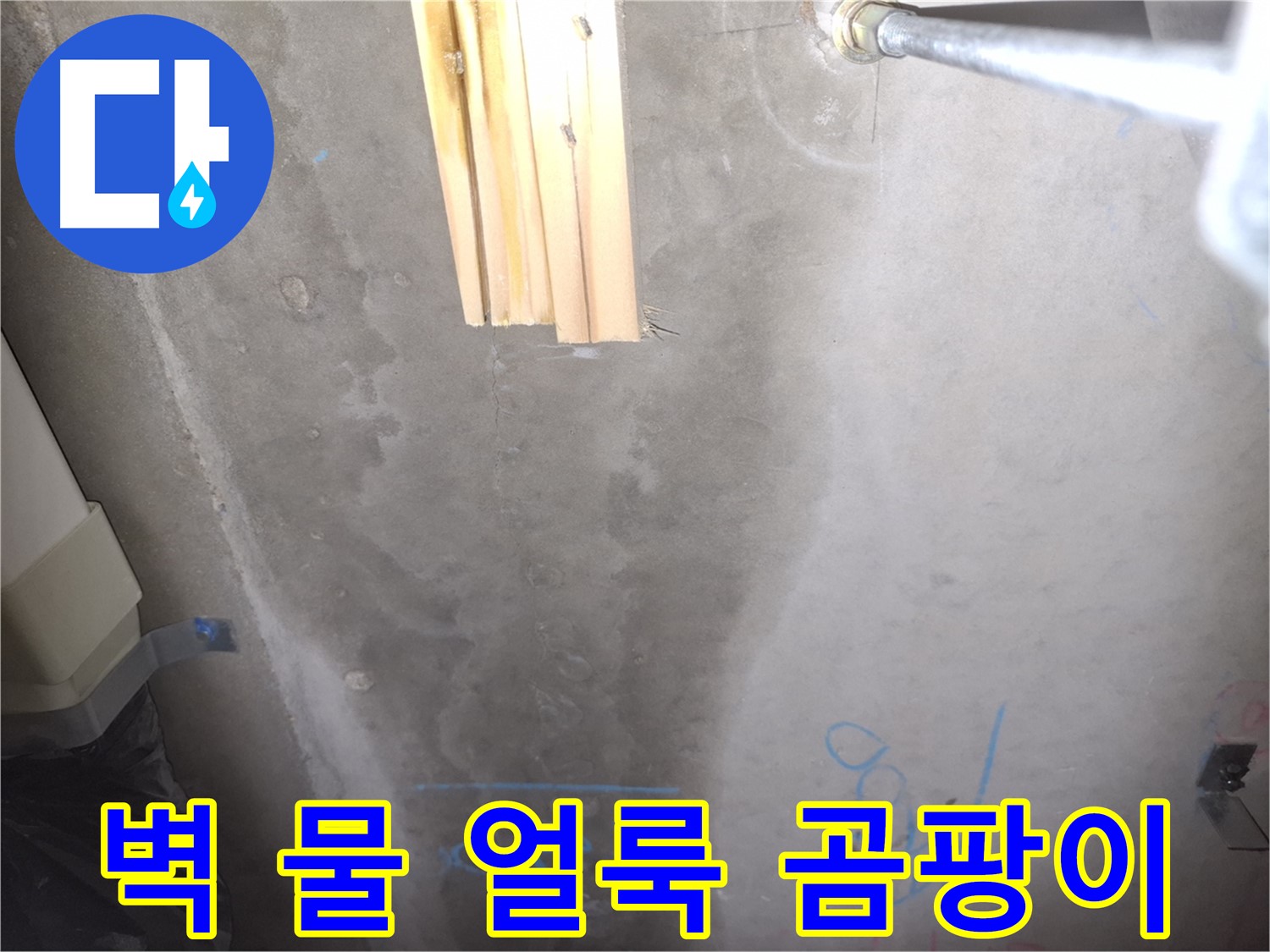 콘크리트 벽 누수 - 물 얼룩과 곰팡이