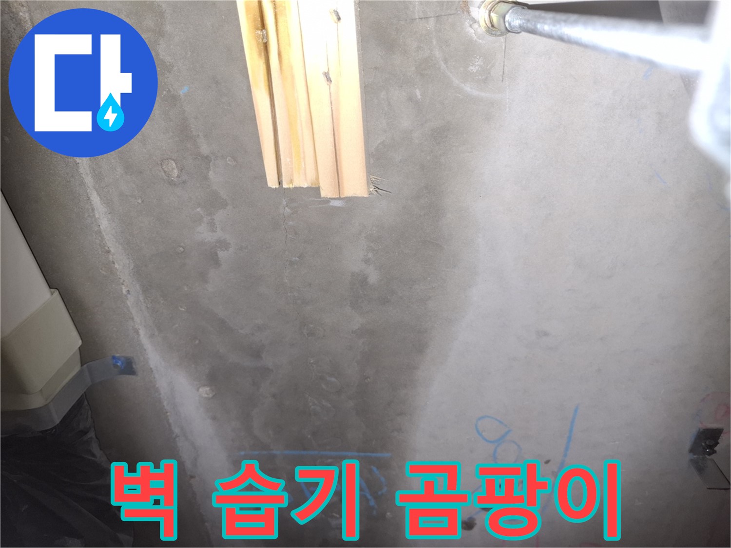 콘크리트 벽 누수 - 습기와 곰팡이, 건강 위협